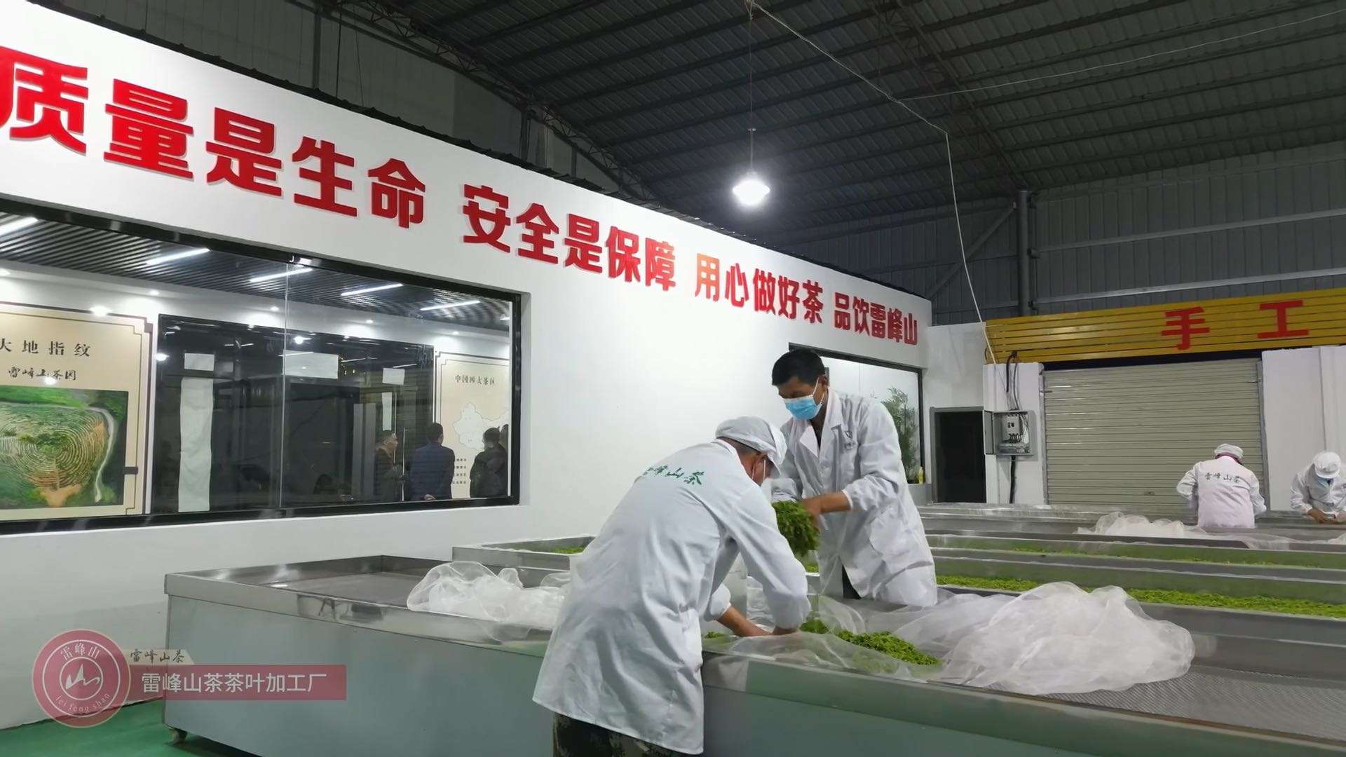 雷峰山茶加工厂