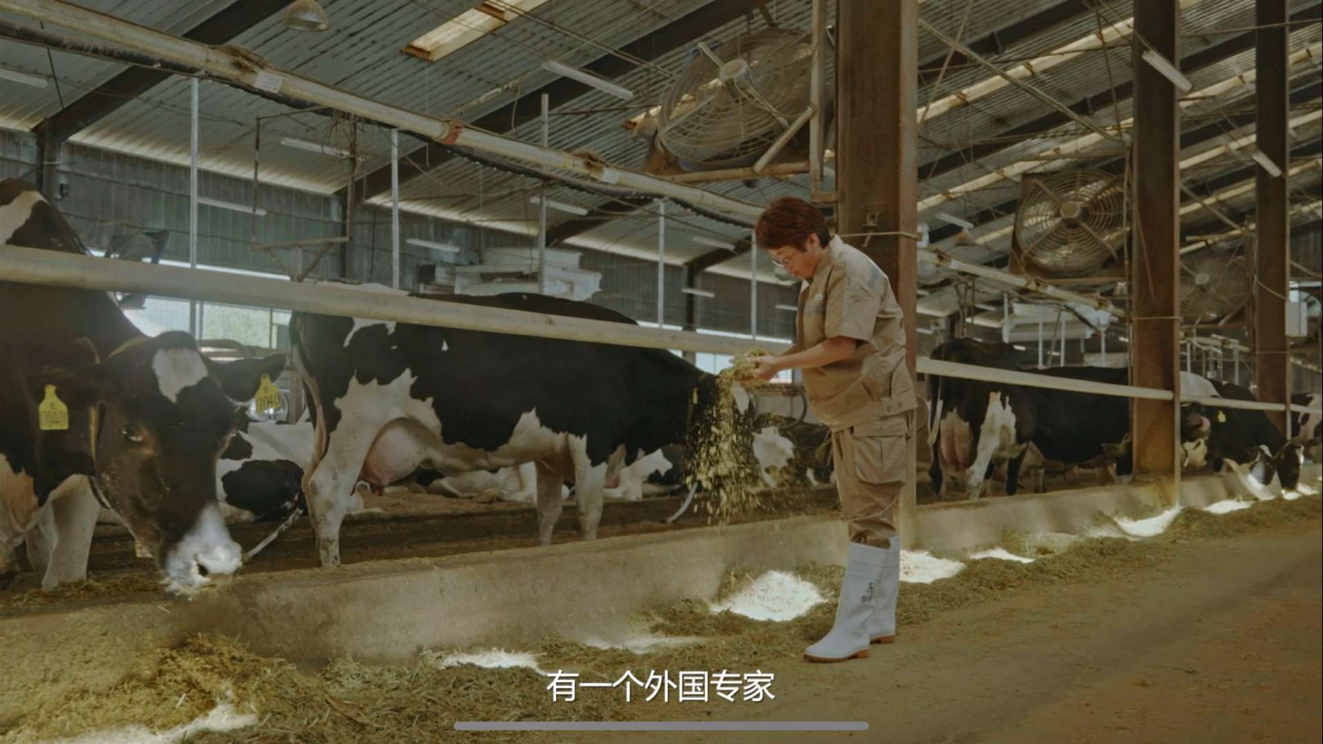 奶牛翻译官-丛慧敏 《最初的誓言》系列人物宣传