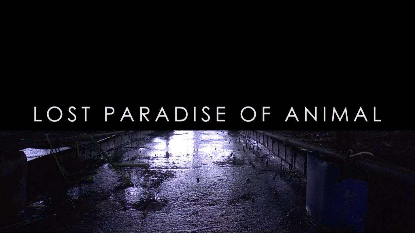 纪录短片：《动物失乐园》Lost Paradise of Animal