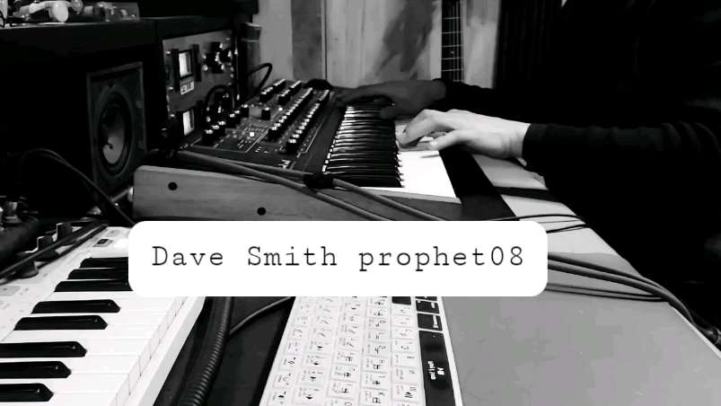 Dave Smith Prophet 08