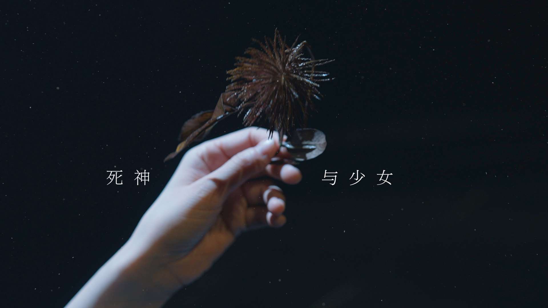 死神与少女-《猎罪图鉴》音乐剧 MV