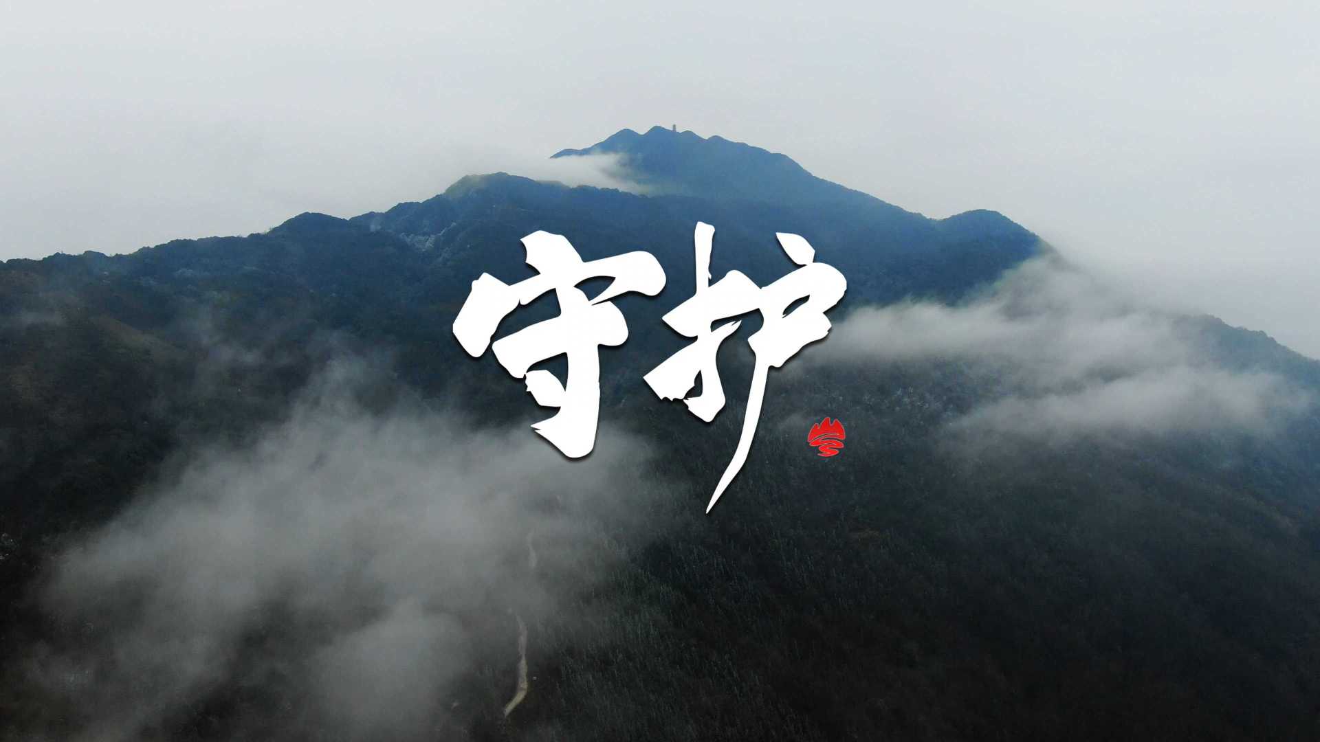 广西岑王老山国家级自然保护区资源保护工作成效宣传片《守护》