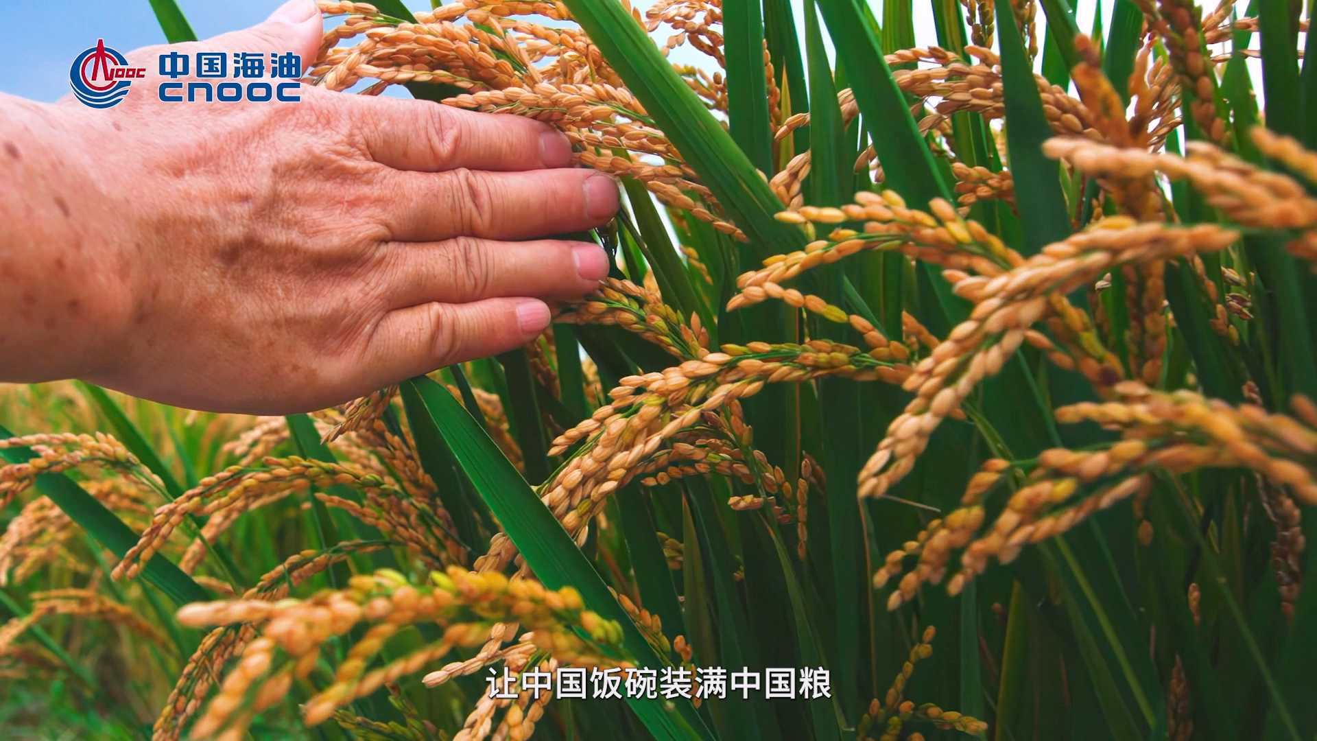 【专题片】中海石油化学股份有限公司 化肥保供稳价