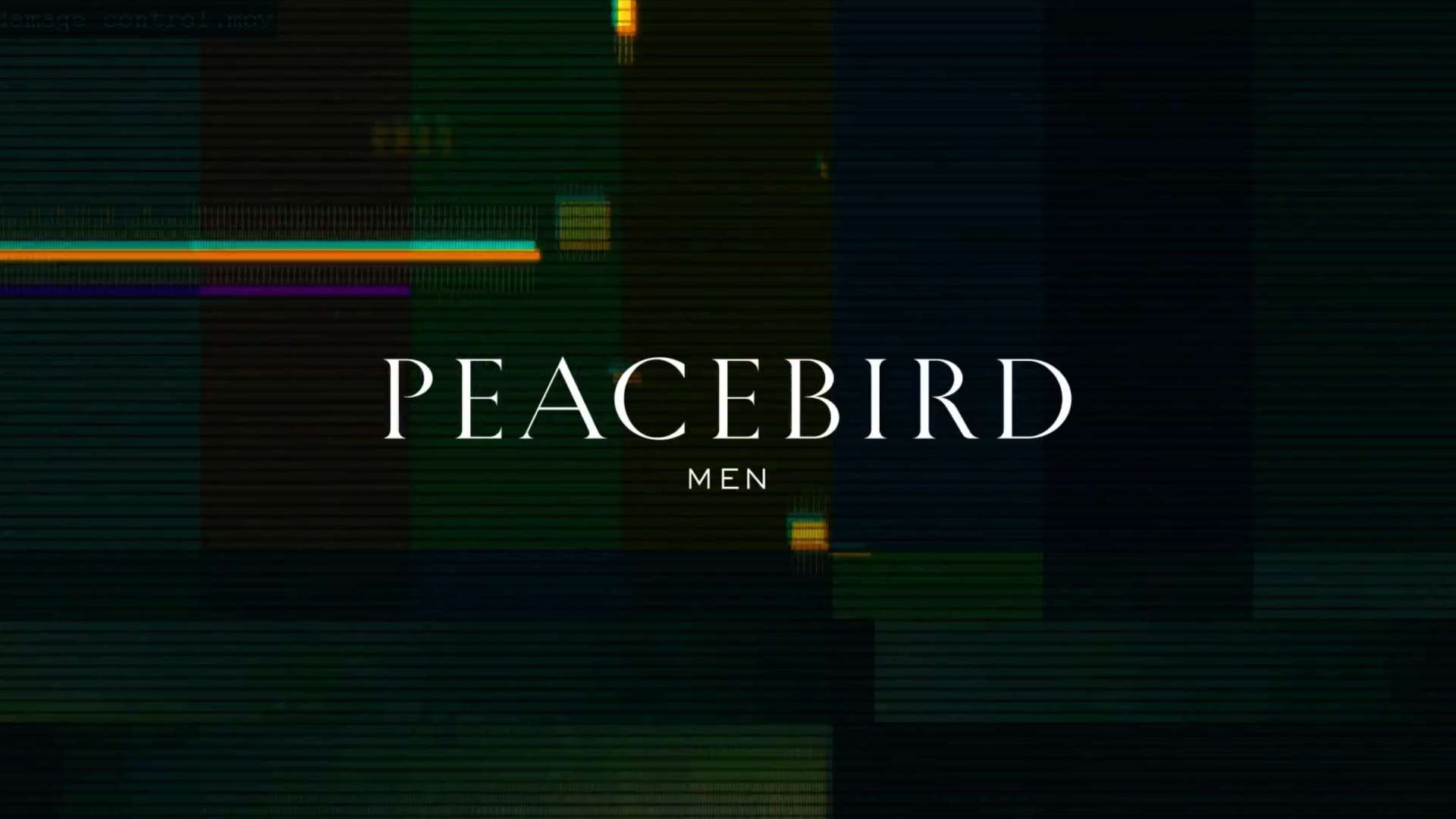 Peacebrid太平鸟男装