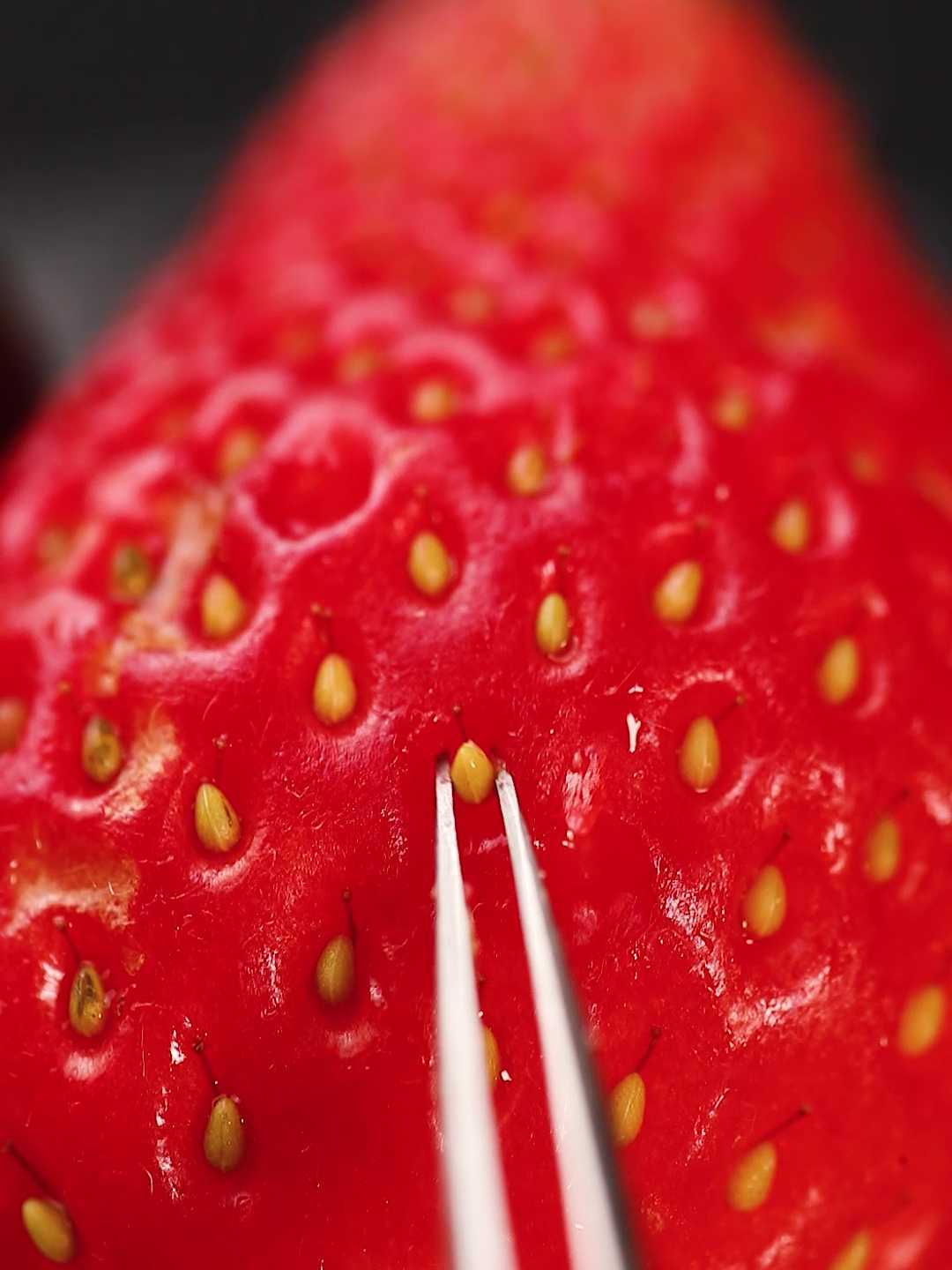 美的冰箱草莓创意食材拍摄摆盘ASMR