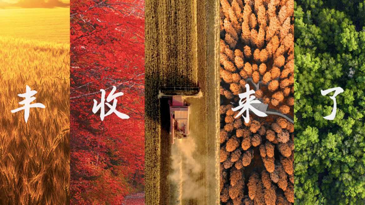 【二十四节气专题】中国农业银行X新华网《幸福美好历-秋分篇》（中国农民丰收节）