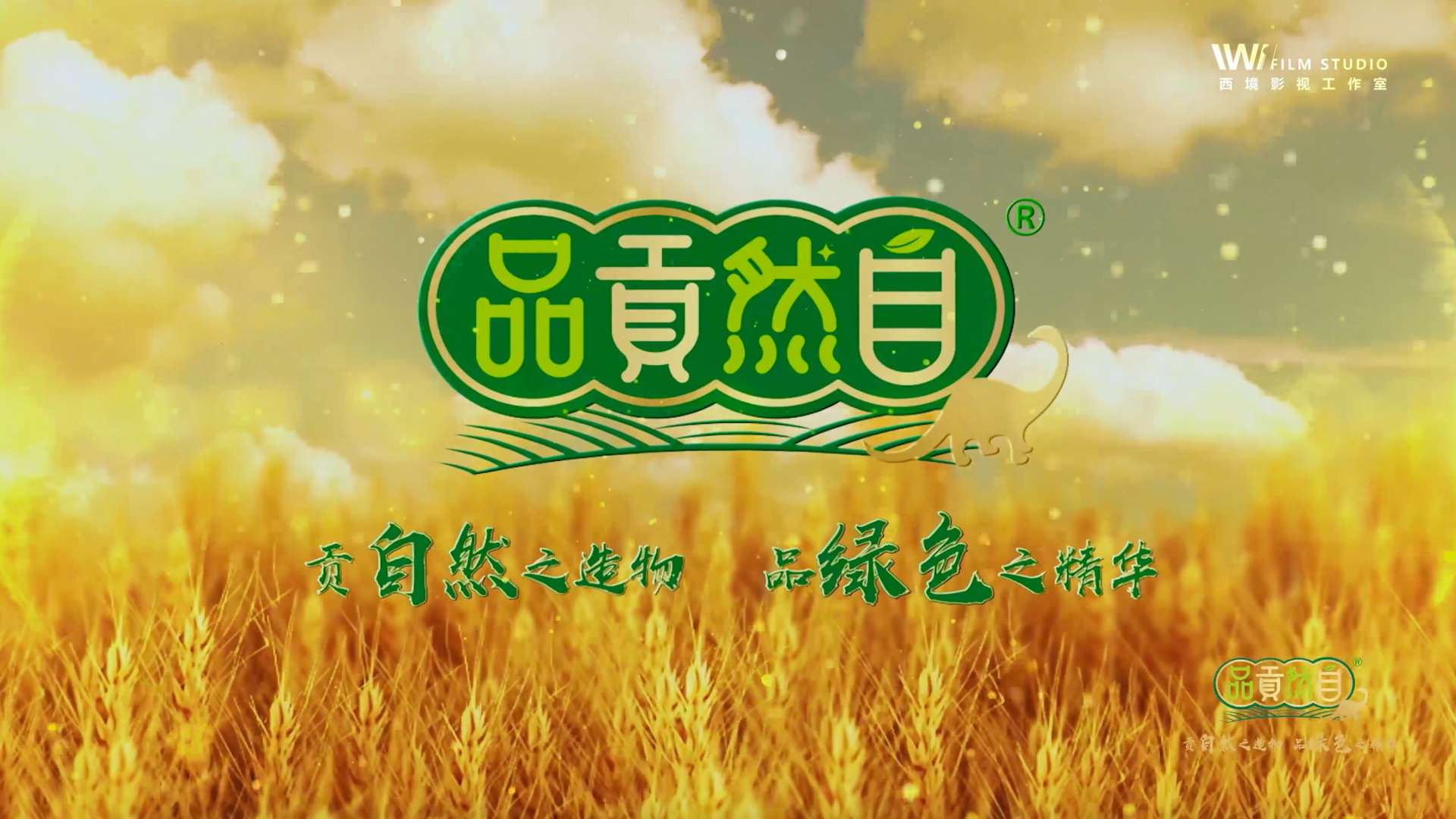 自贡自然贡品品牌宣传片