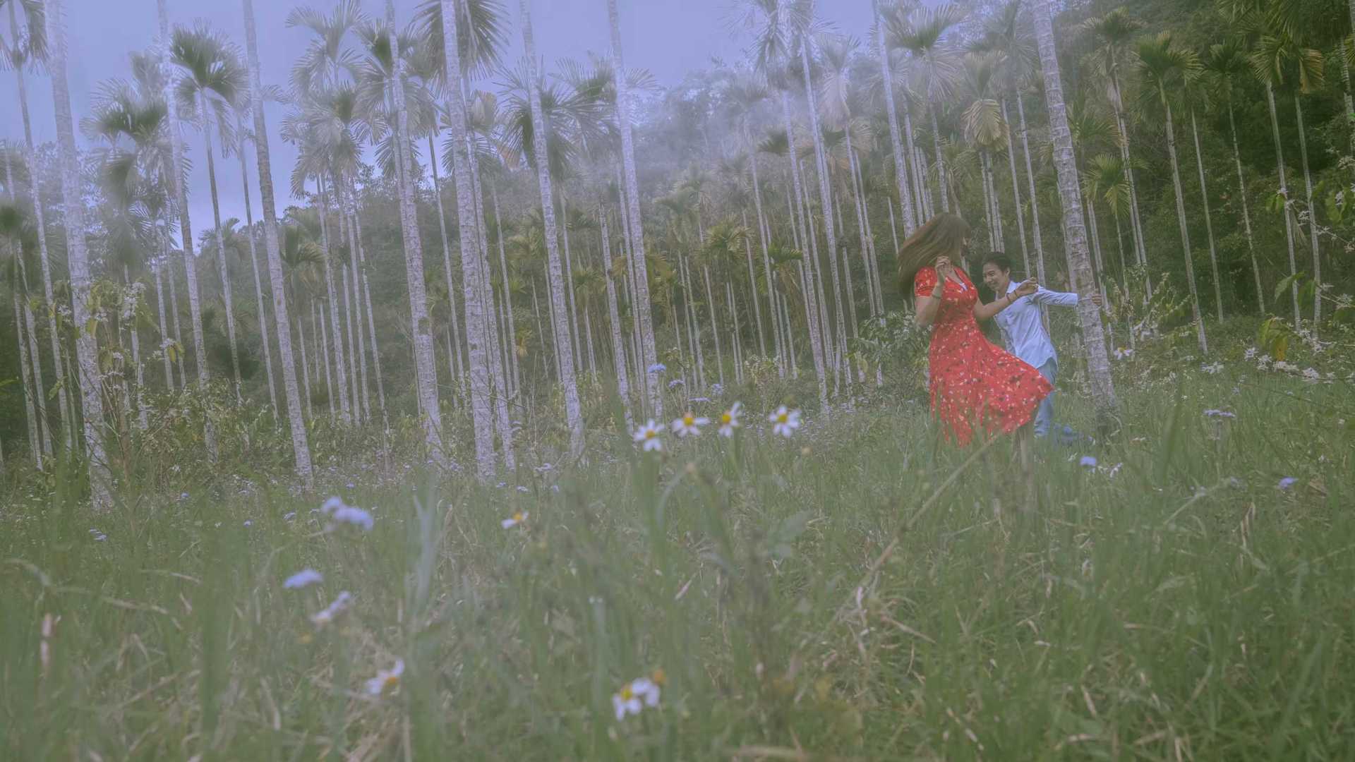 SF｜《檳榔》（BURGUNDY RED）電影短片