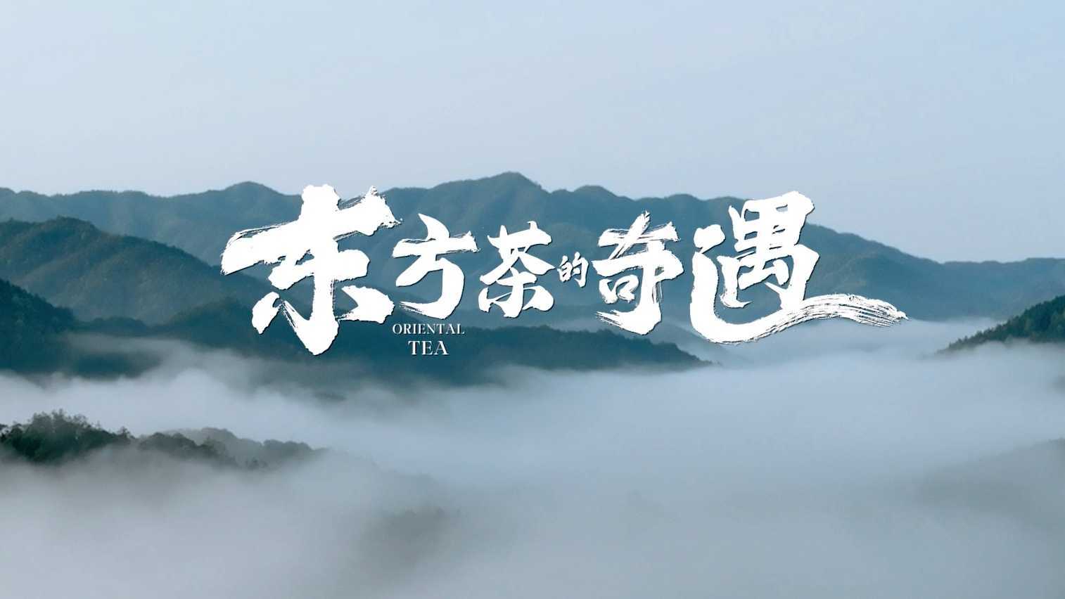 《这就是中国成分》—第三季 韩后篇 《东方茶的奇遇》