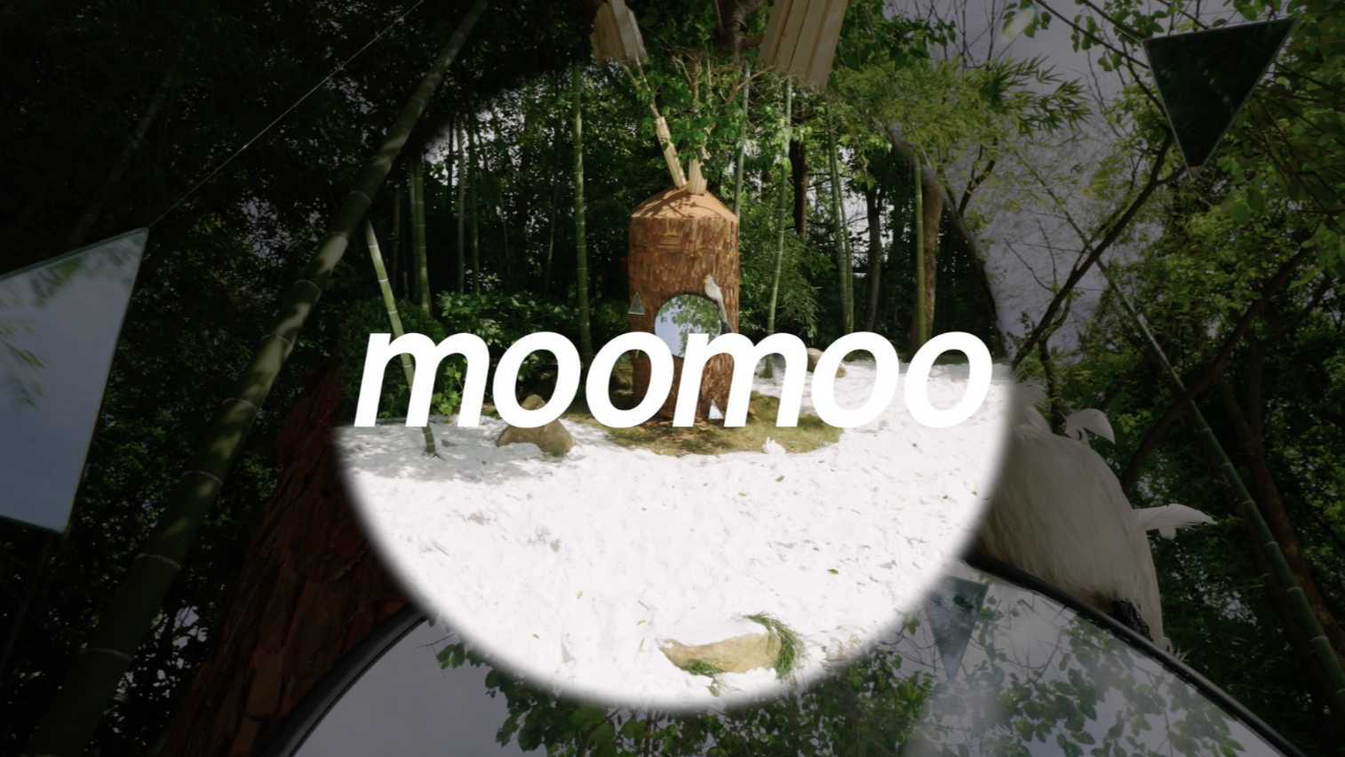 moomoo童装树洞系列