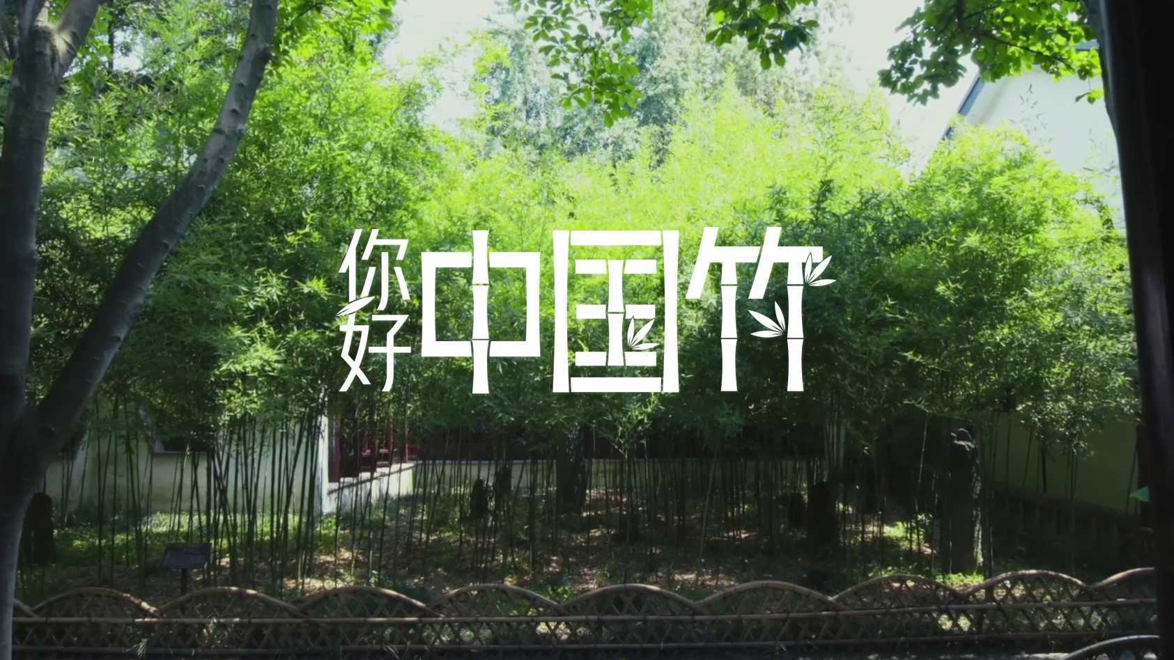 国际竹藤组织 × 人民日报 × 联想 《你好 中国竹》可持续发展行动 启动仪式