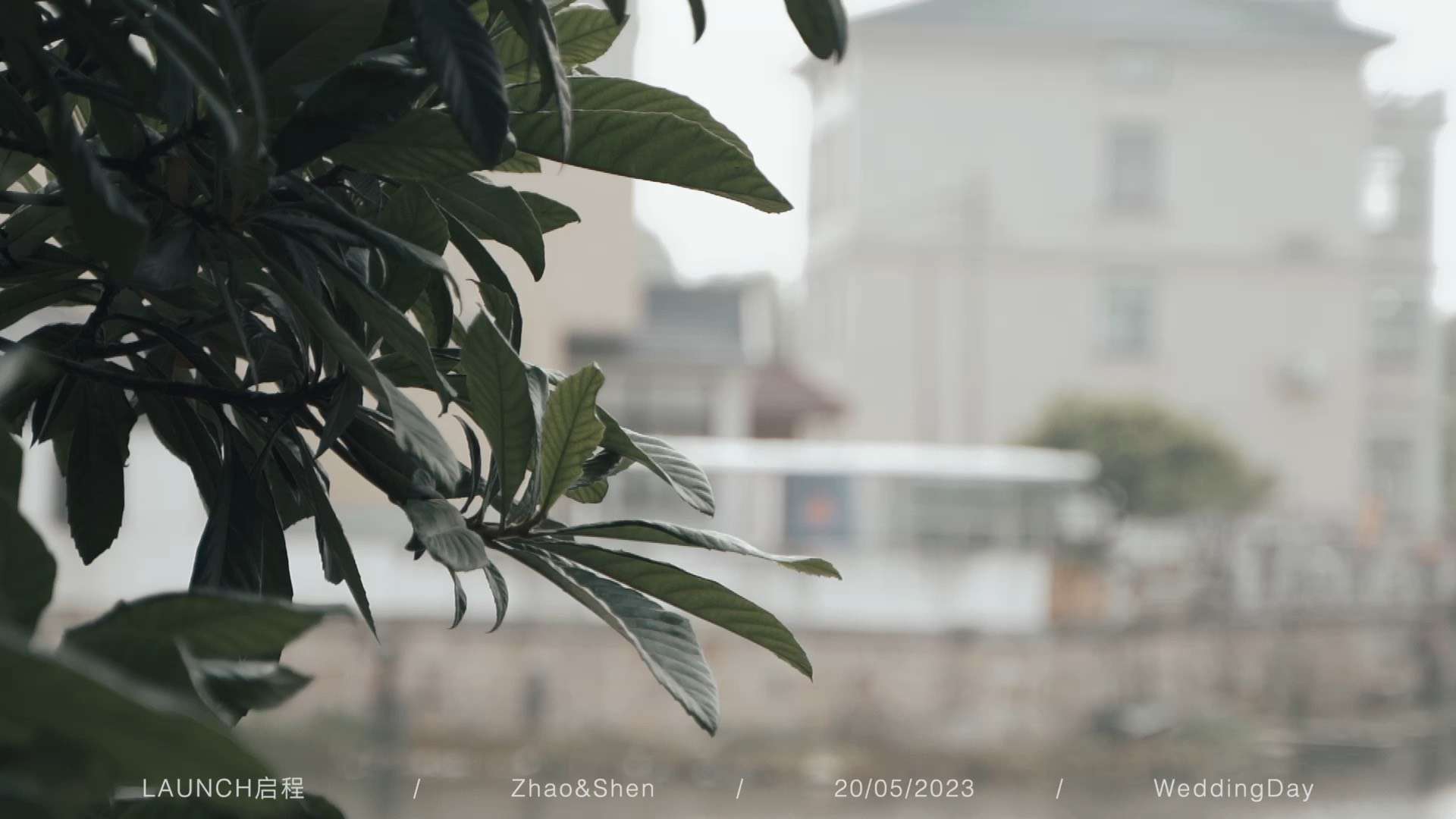 2023.5.20 赵煜辉&沈佳怡 米罗婚礼 | 启程影像