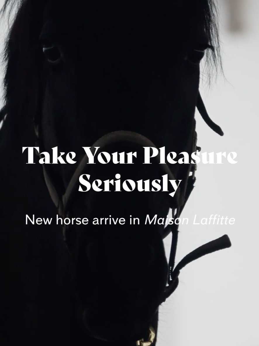 艺术纪实│法国马场拍摄│愿你我都能做一匹快乐的小马?