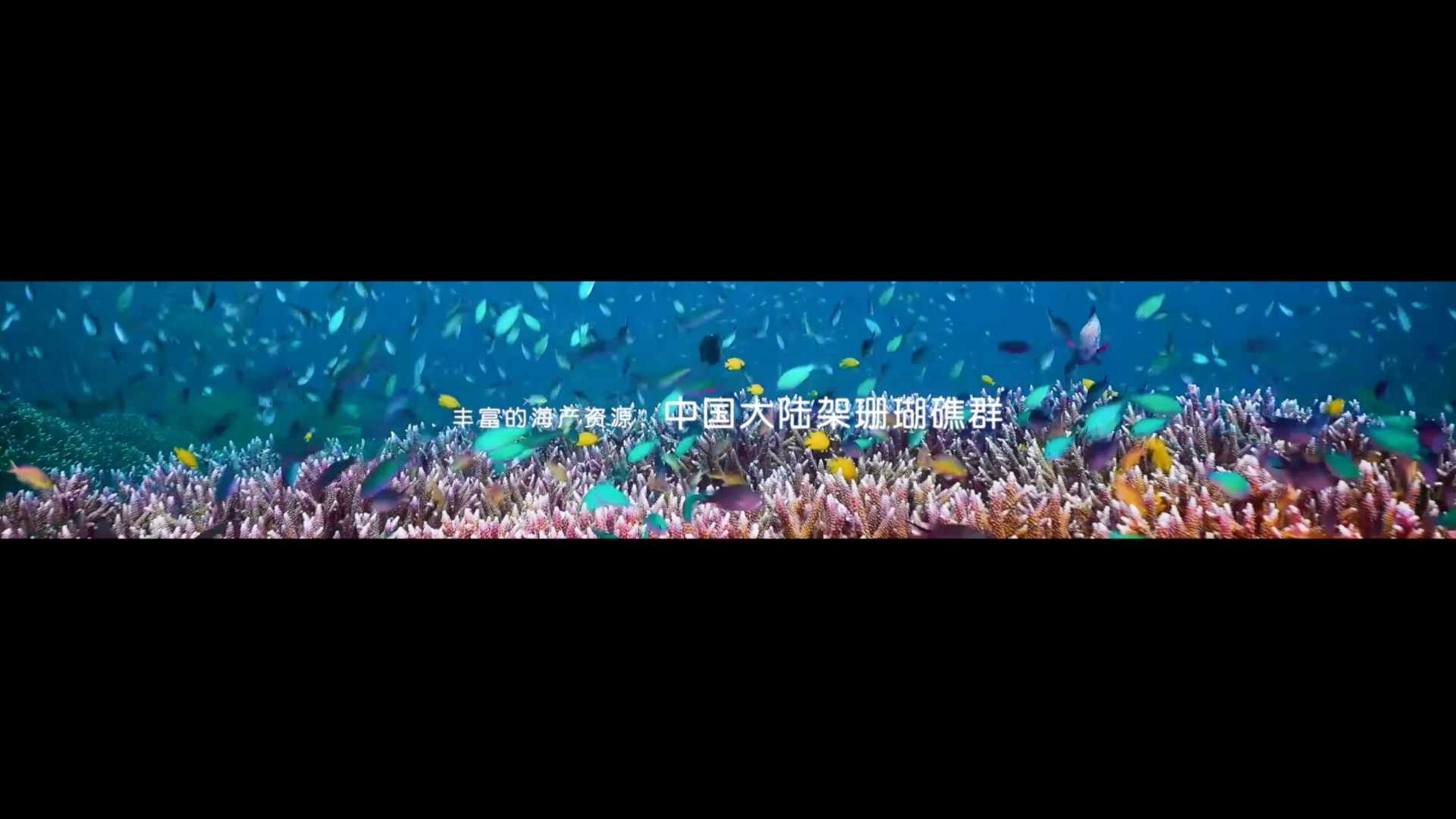 湛江华侨城欢乐海湾宣传片2021