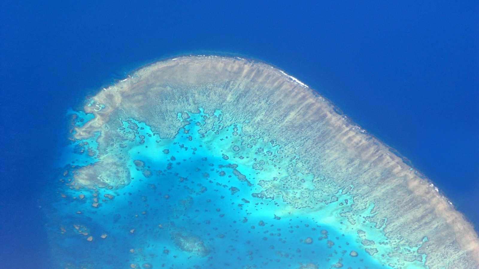 大堡礁 Great Barrier Reef 第3集
