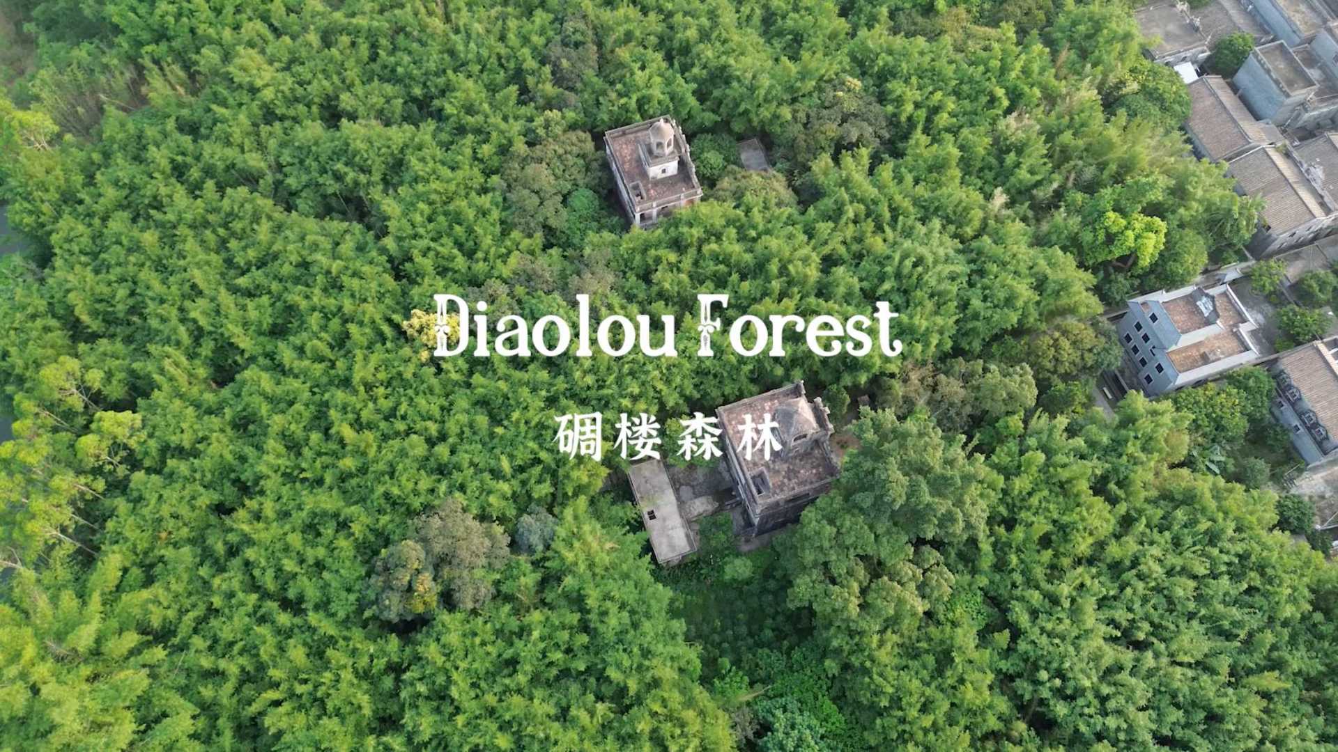 微拍中国开平站 - 先导片 碉楼森林
