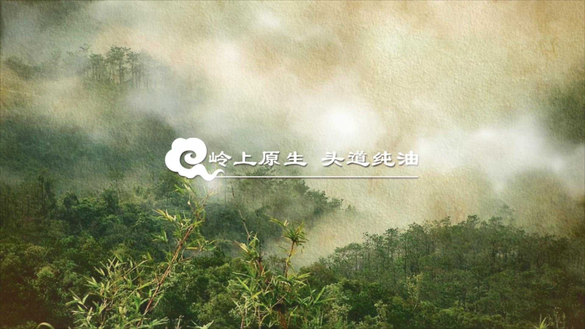 云岭茶油广告宣传片