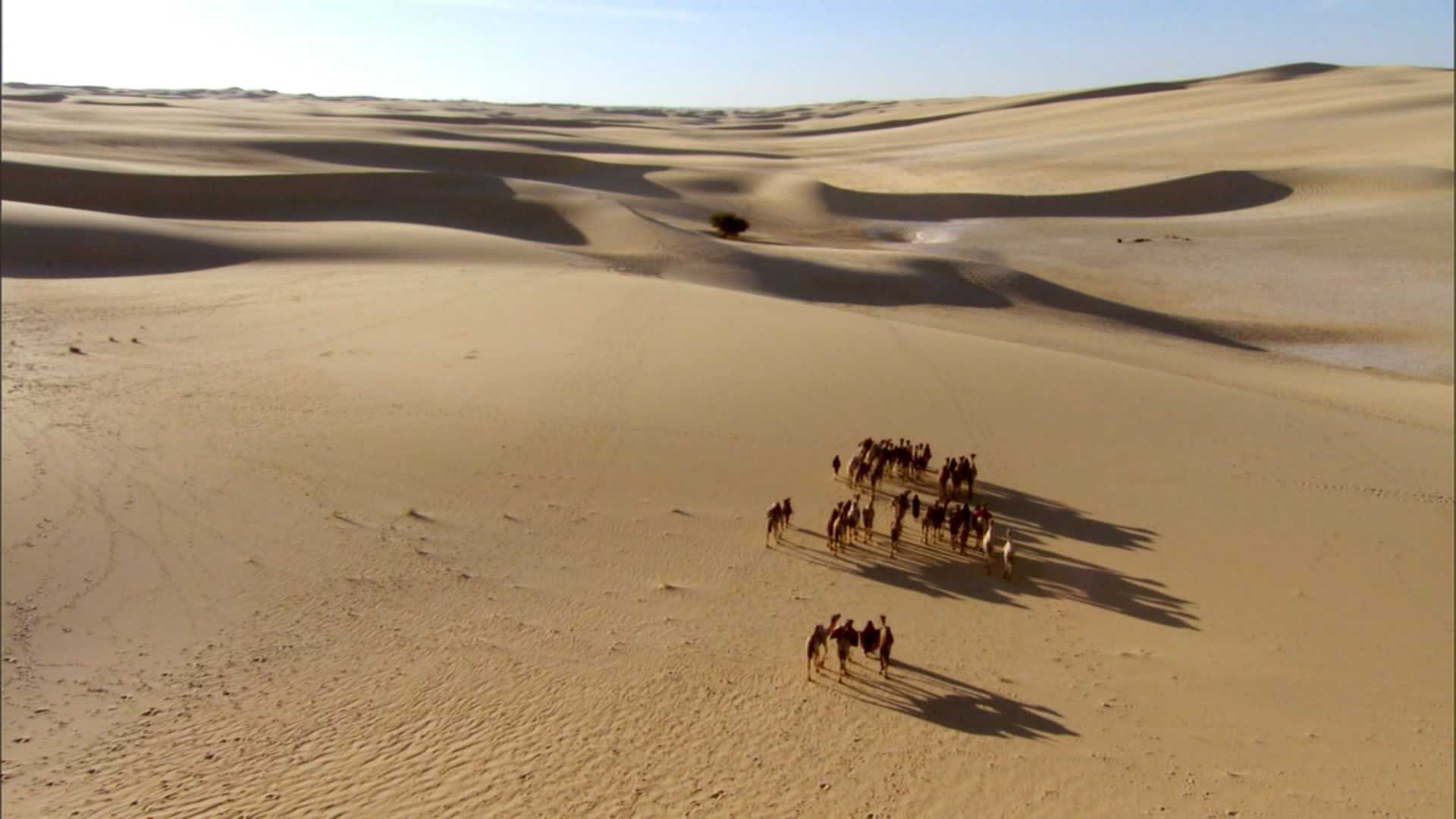 人类星球 Human Planet 第2集 沙漠