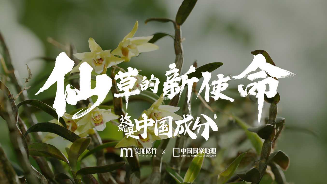《这就是中国成分》—第三季 植然方适篇 《仙草的新使命》
