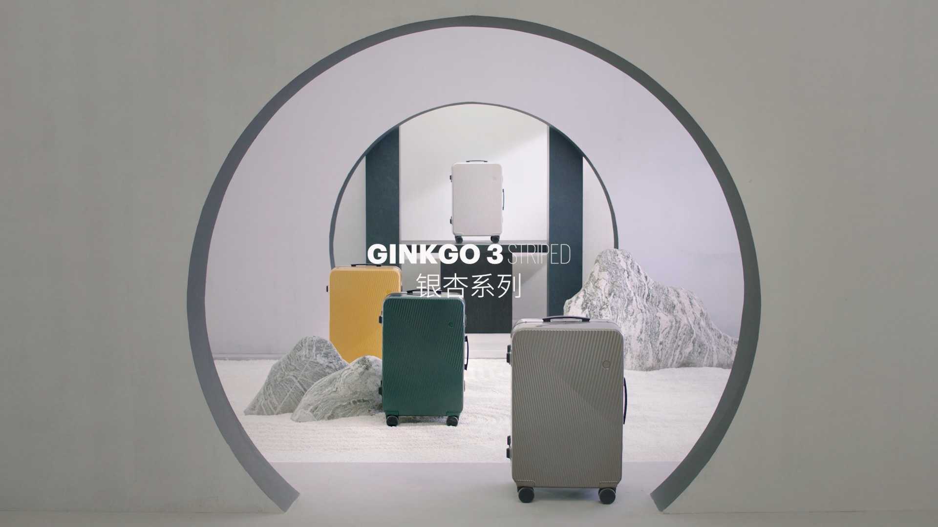 GINKGO3 银杏系列 | ITO