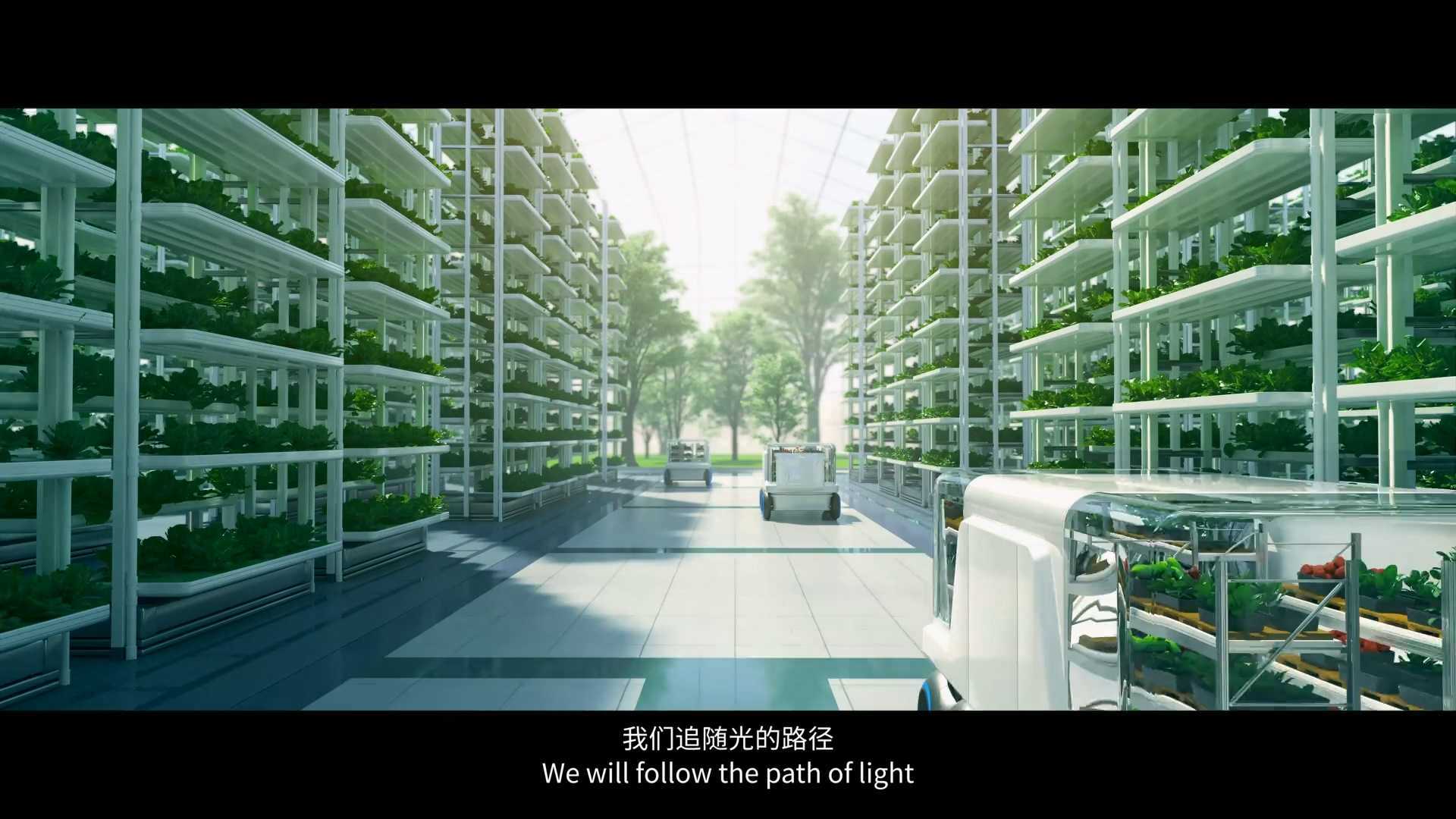 上海光明集团《光的力量》