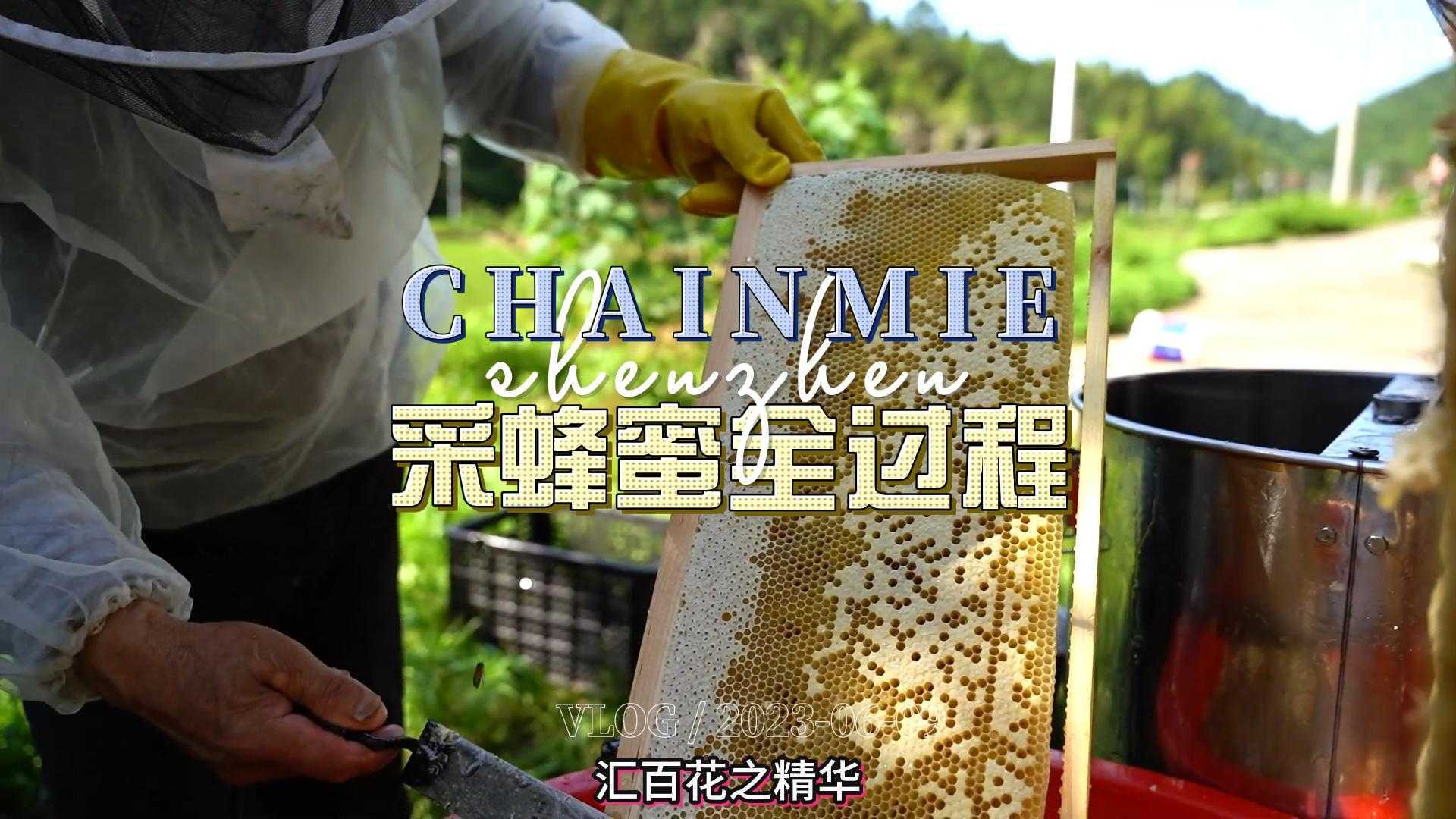 助农拍摄采蜂蜜全过程