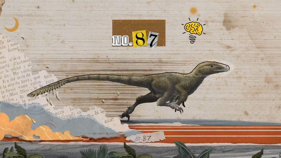 亚洲龙 史前恐龙的内卷秘闻