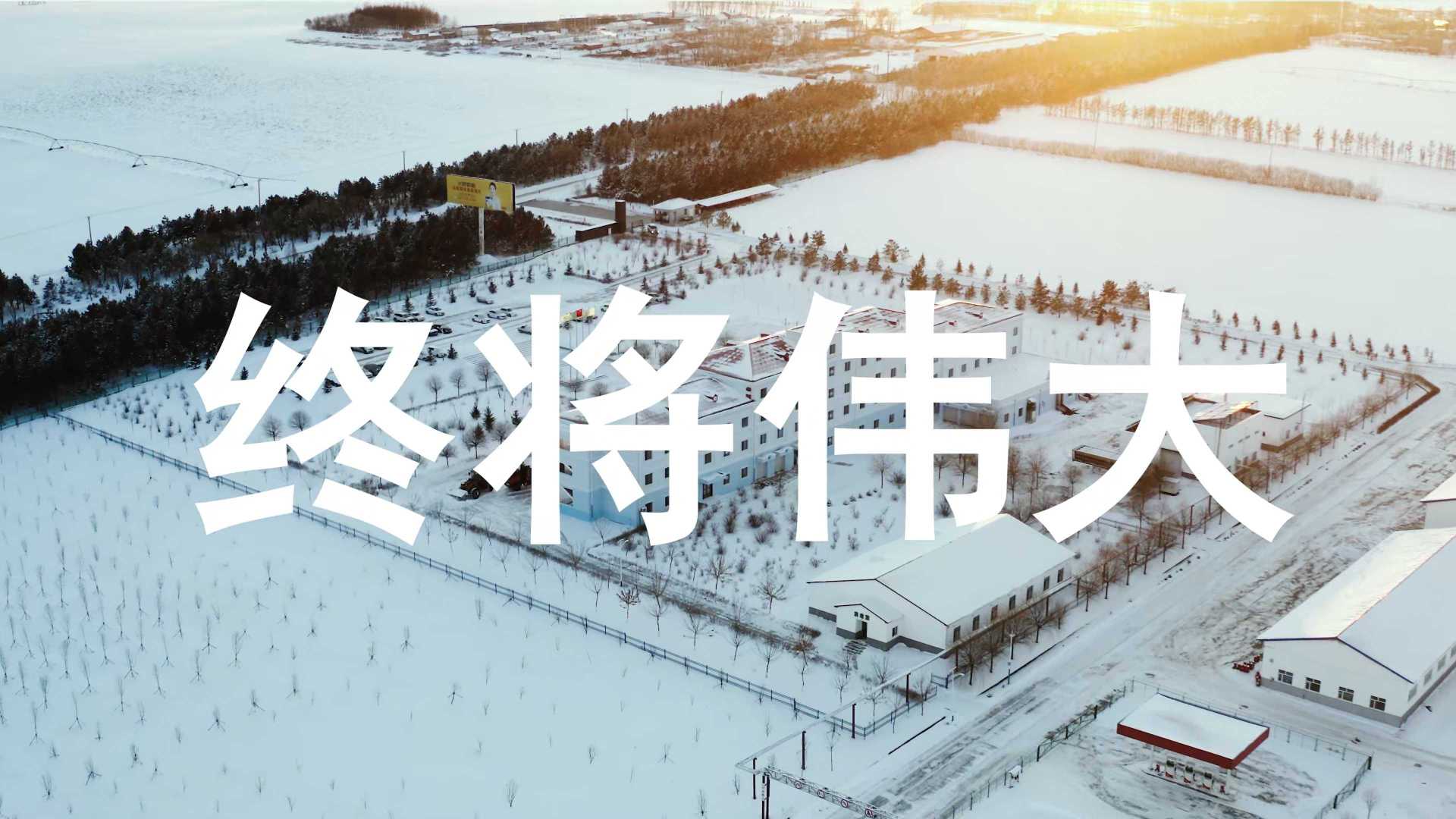 宣传片-飞鹤一线楷模2022