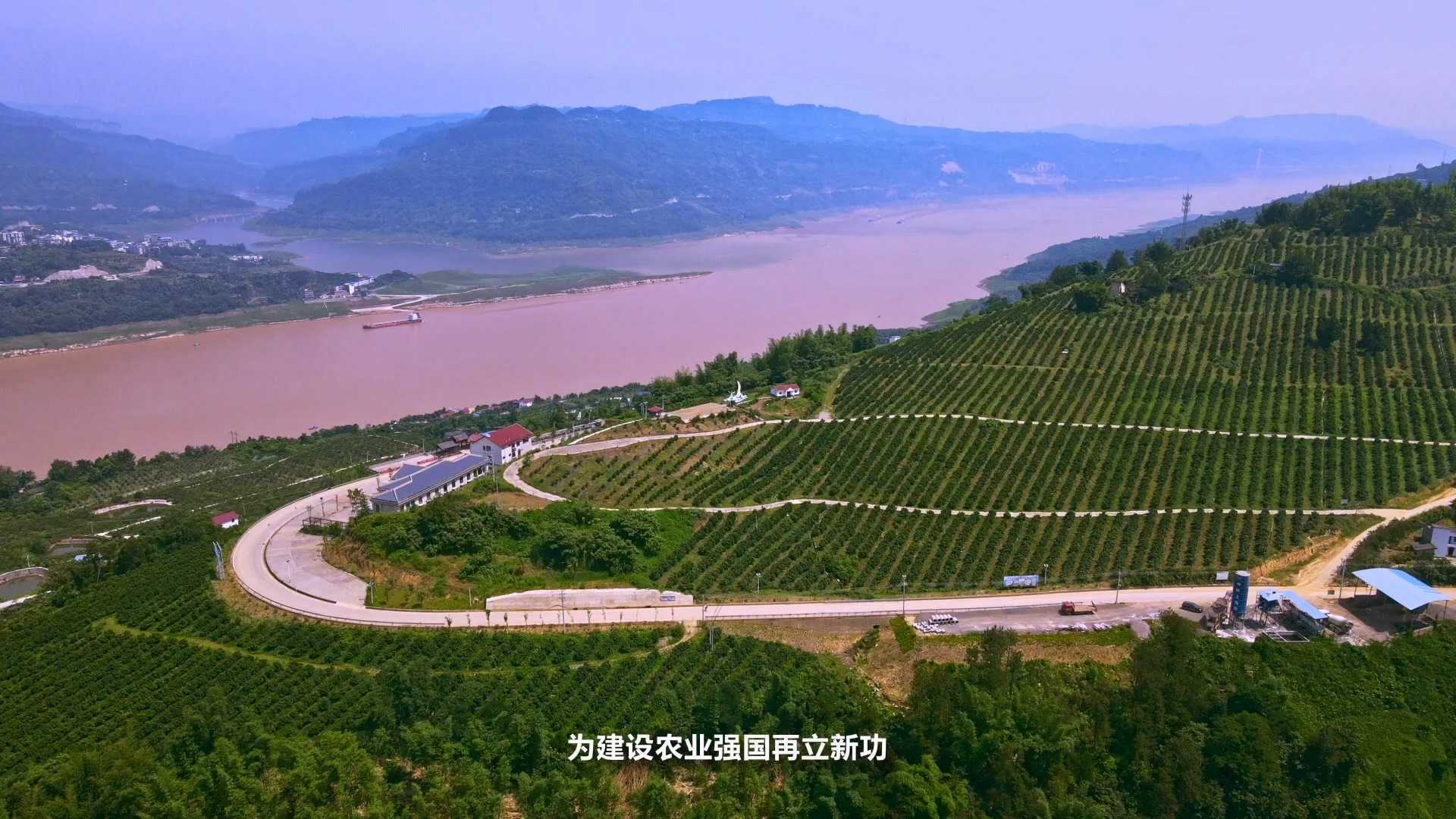 重庆-生猪生态养殖科技特派团