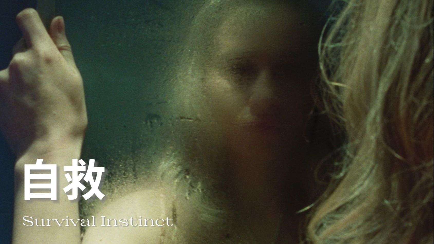Survival Instinct 伦敦电影学院16mm胶片