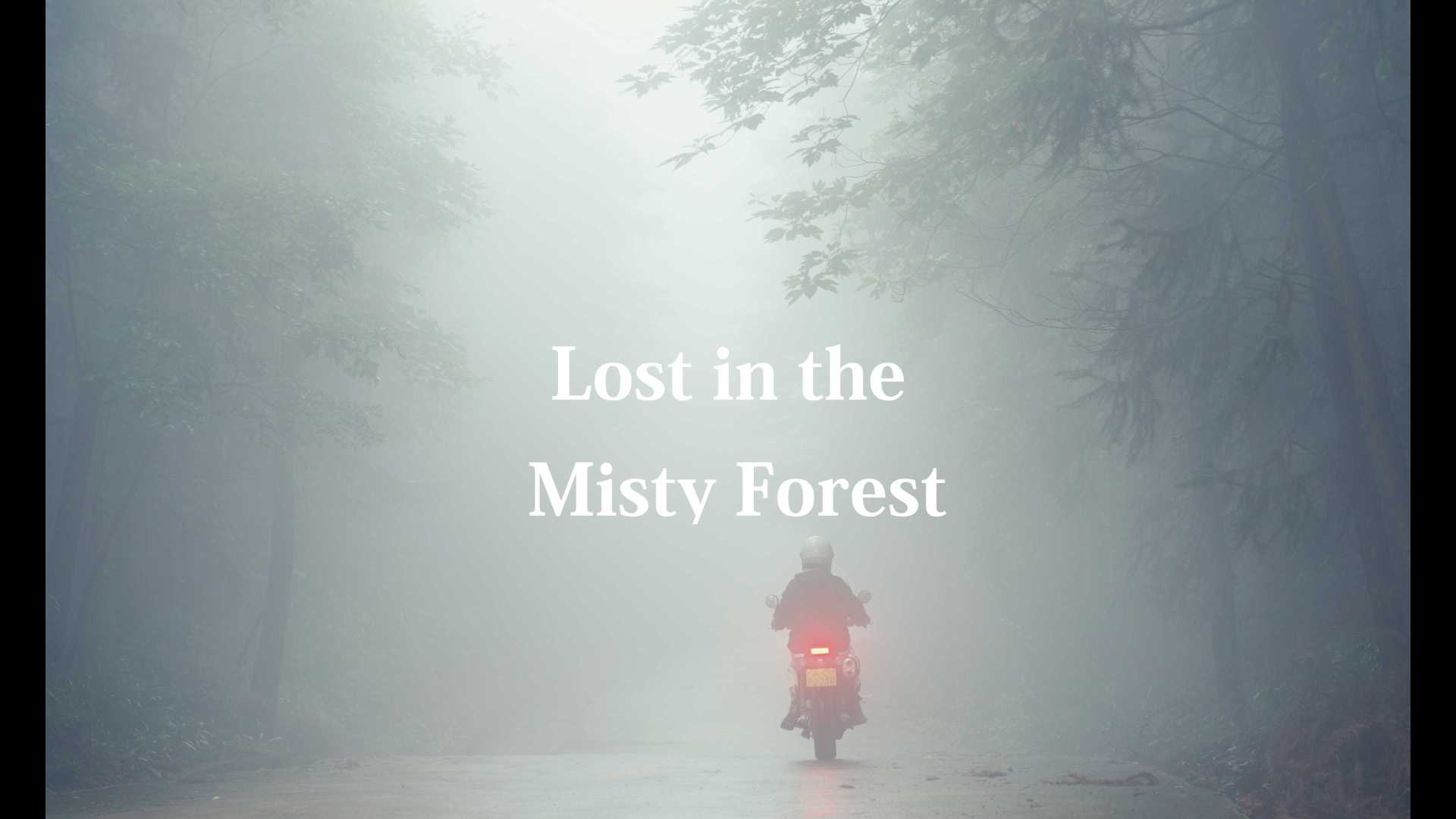 迷雾森林丨mavic 3
