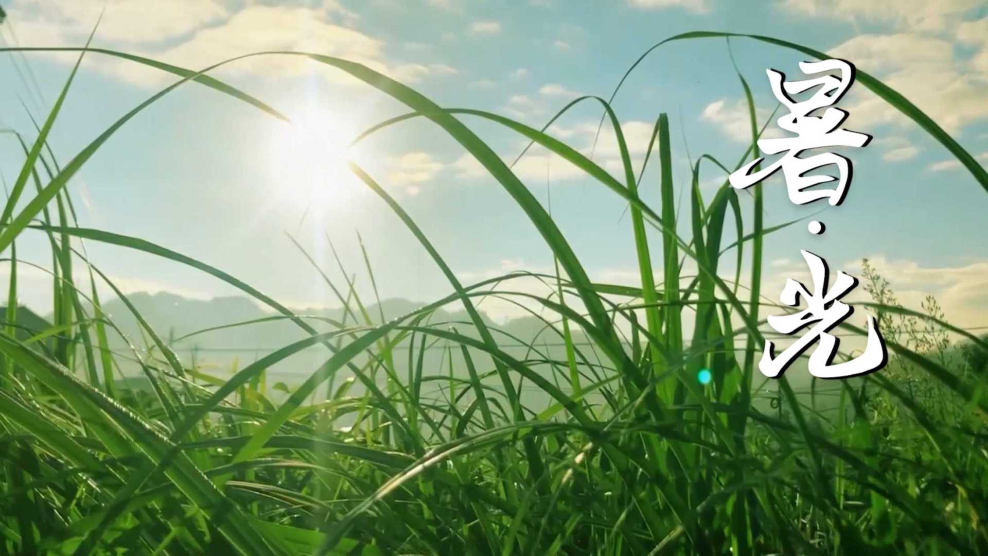 陕西移动·《暑·光》·小暑节气宣传片