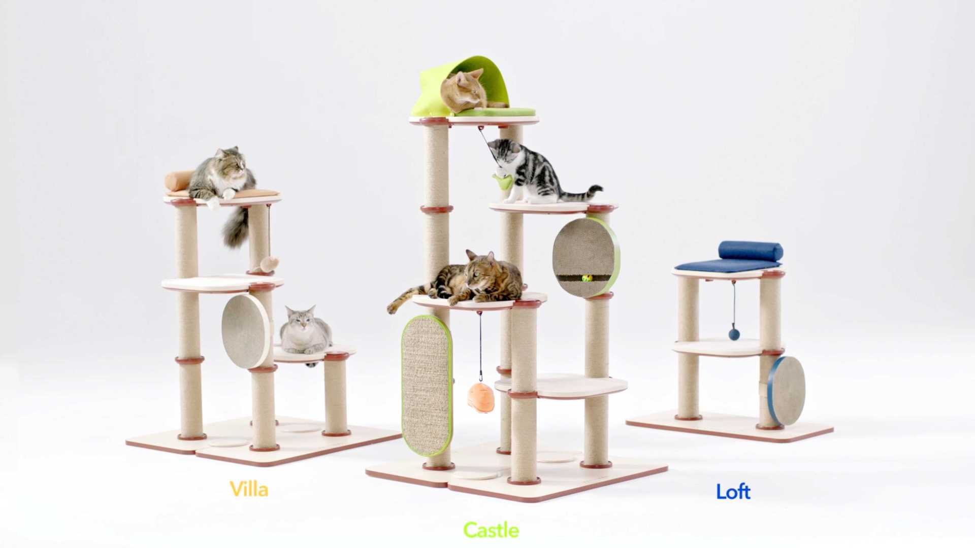 INFINITY Cat Tree 宠物猫爬架创意视频广告Petlibro