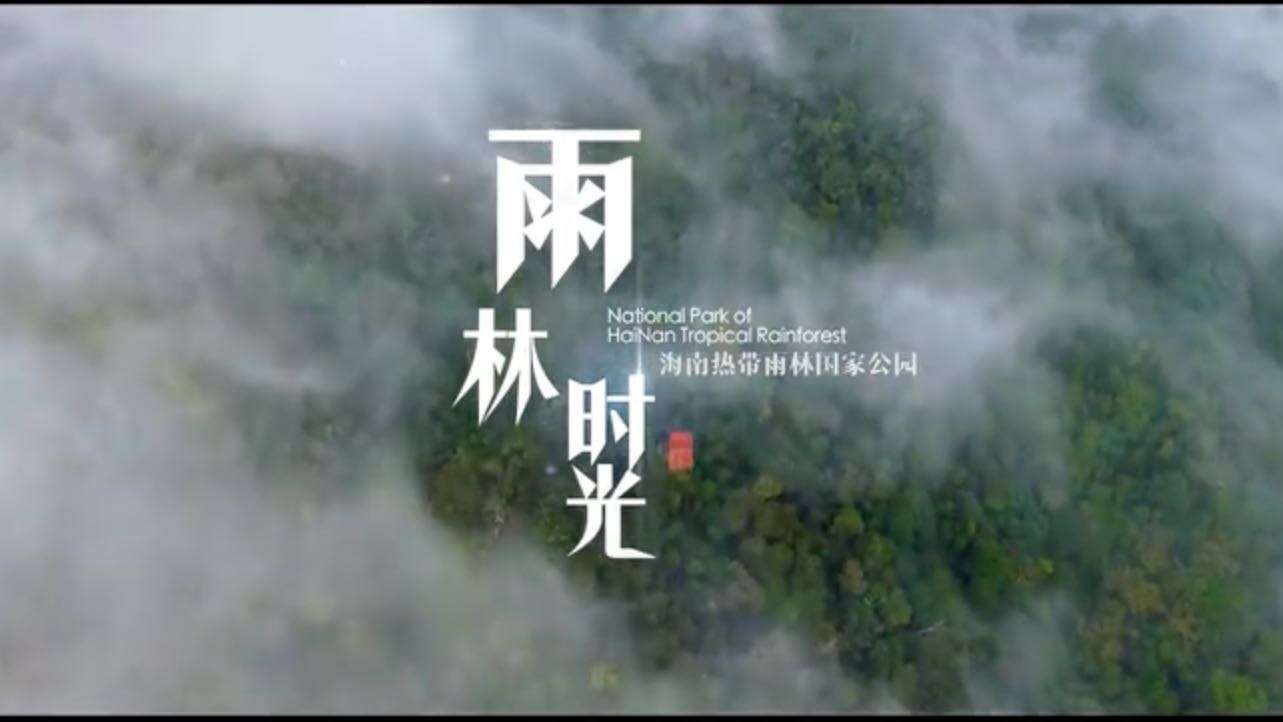 纪录片《中国海南·雨林秘境》即将推出 - 001 - 纪录片《中国海南·雨林秘境