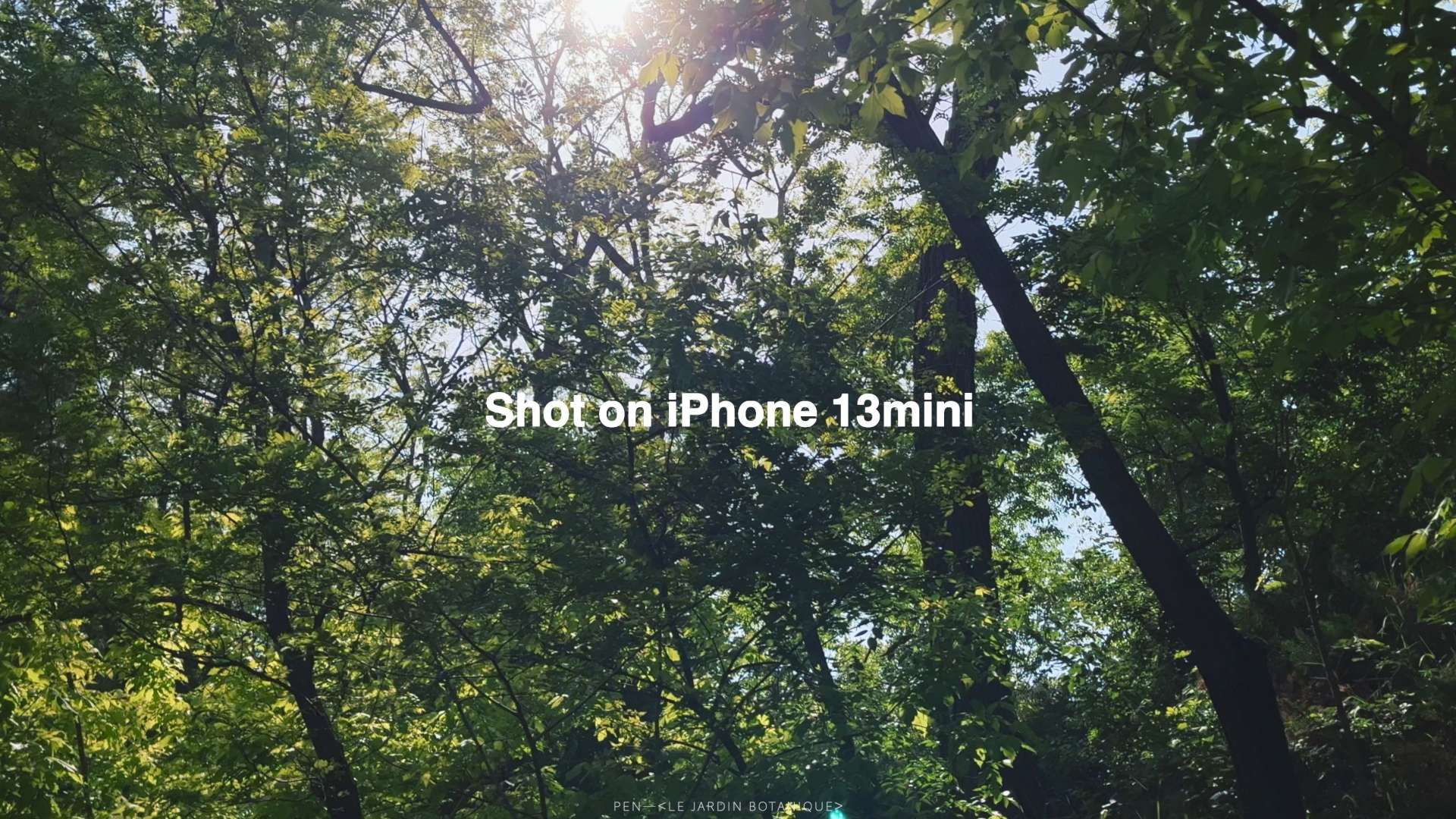 iPhone 13mini杜比视界｜小森林