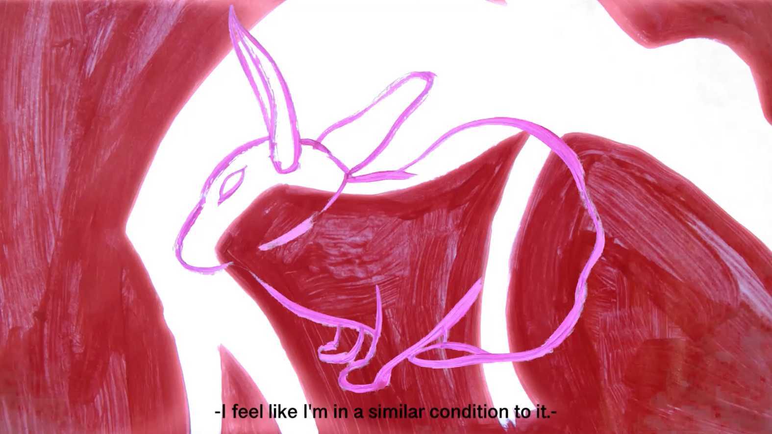 Condition of Rabbits