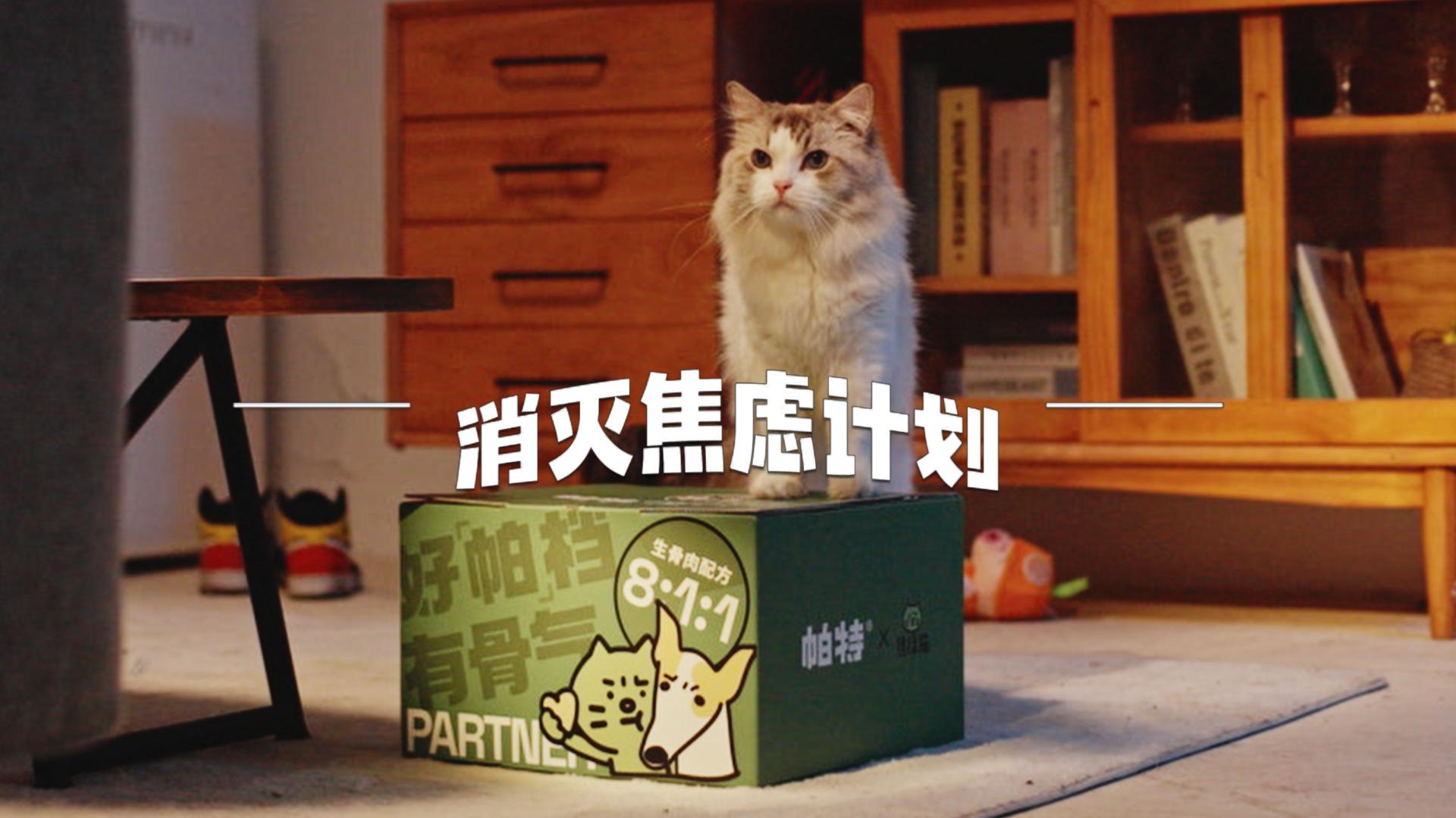 帕特 x 焦虑猫｜811品牌日联名《消灭焦虑计划》