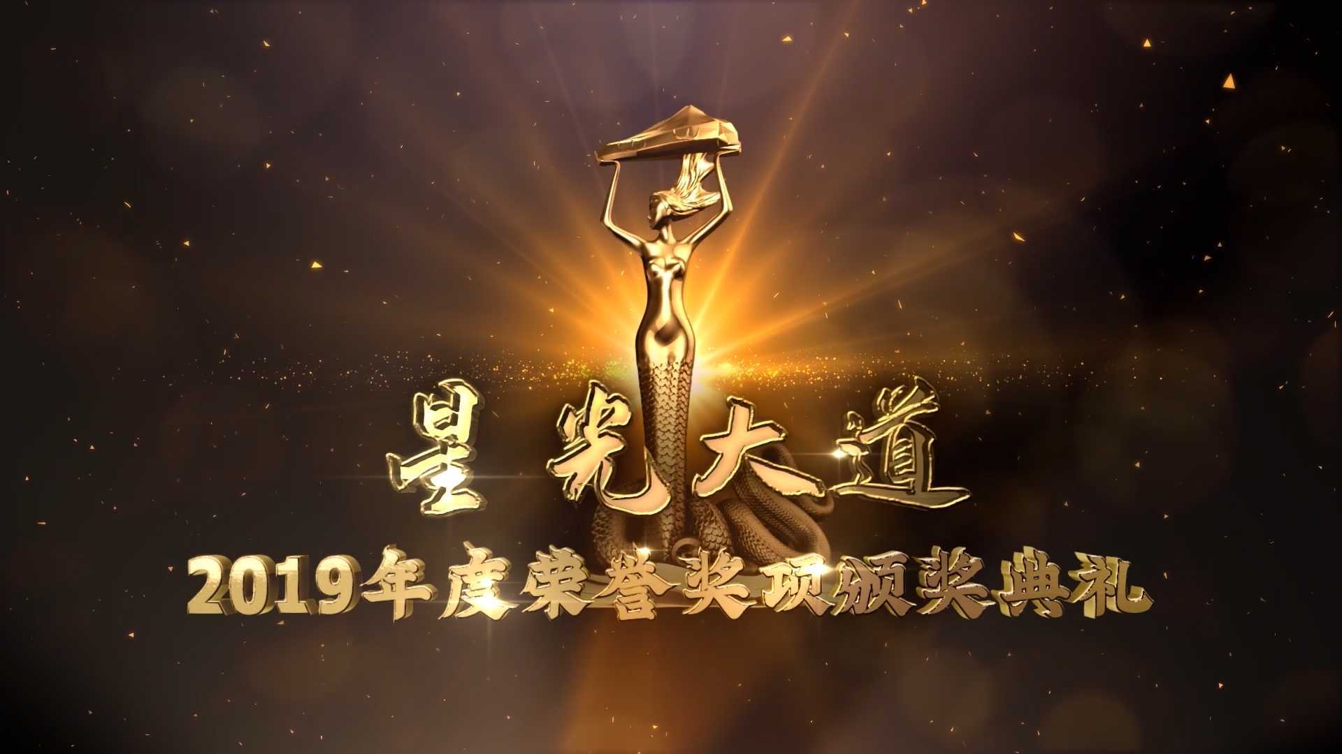 星光大道-2019年度颁奖典礼