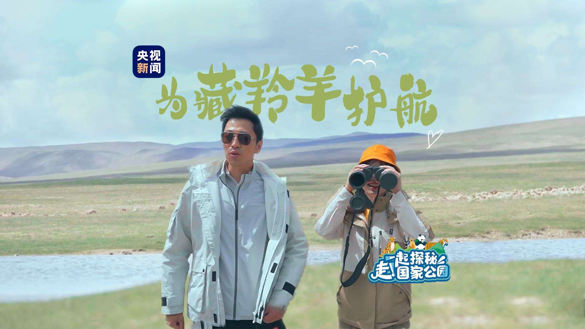 央视新闻&领克 三江源国家公园——为藏羚羊迁徙护航