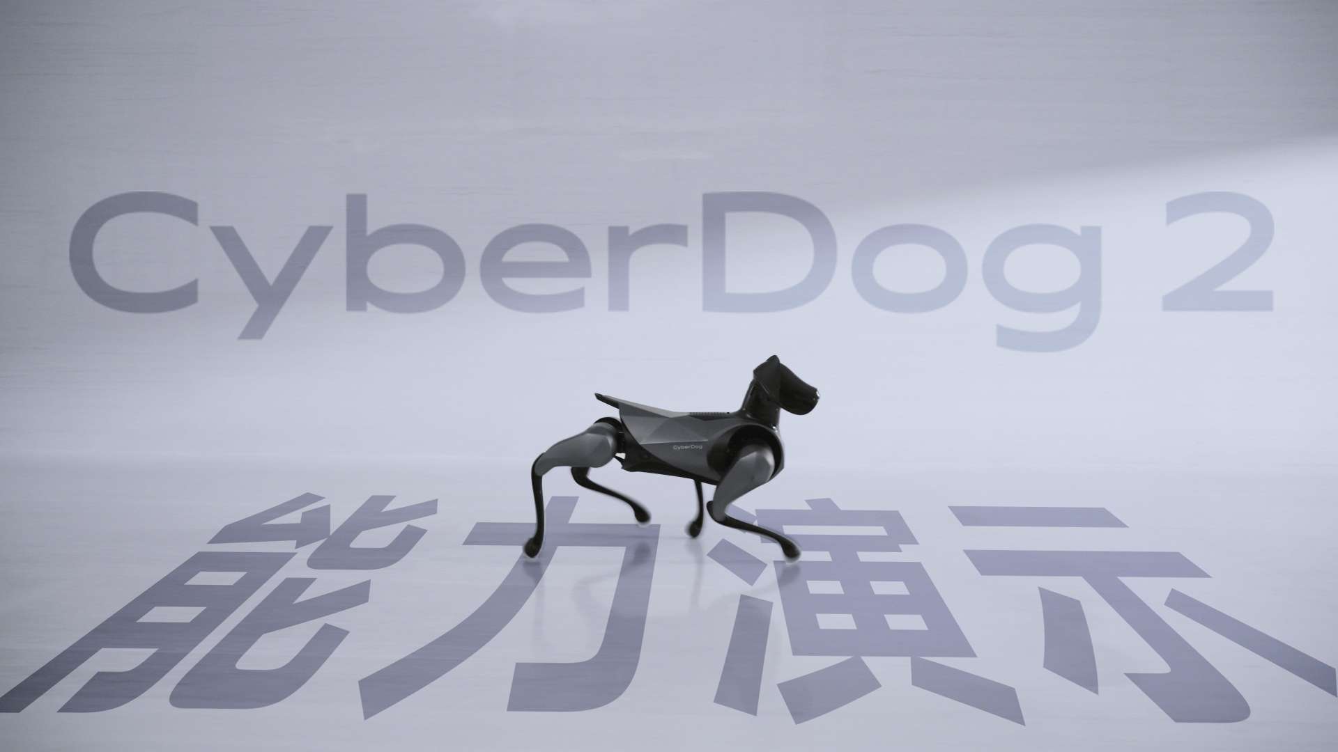 CyberDog2 功能演示短片