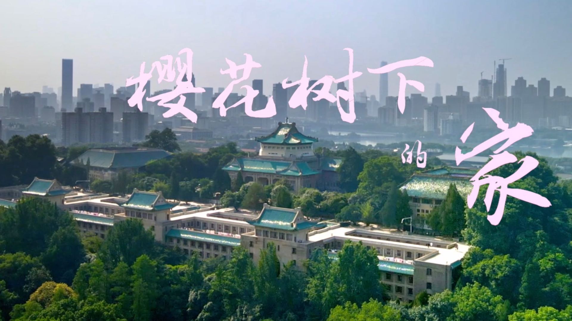武汉大学2021届官方原创毕业MV《樱花树下的家》