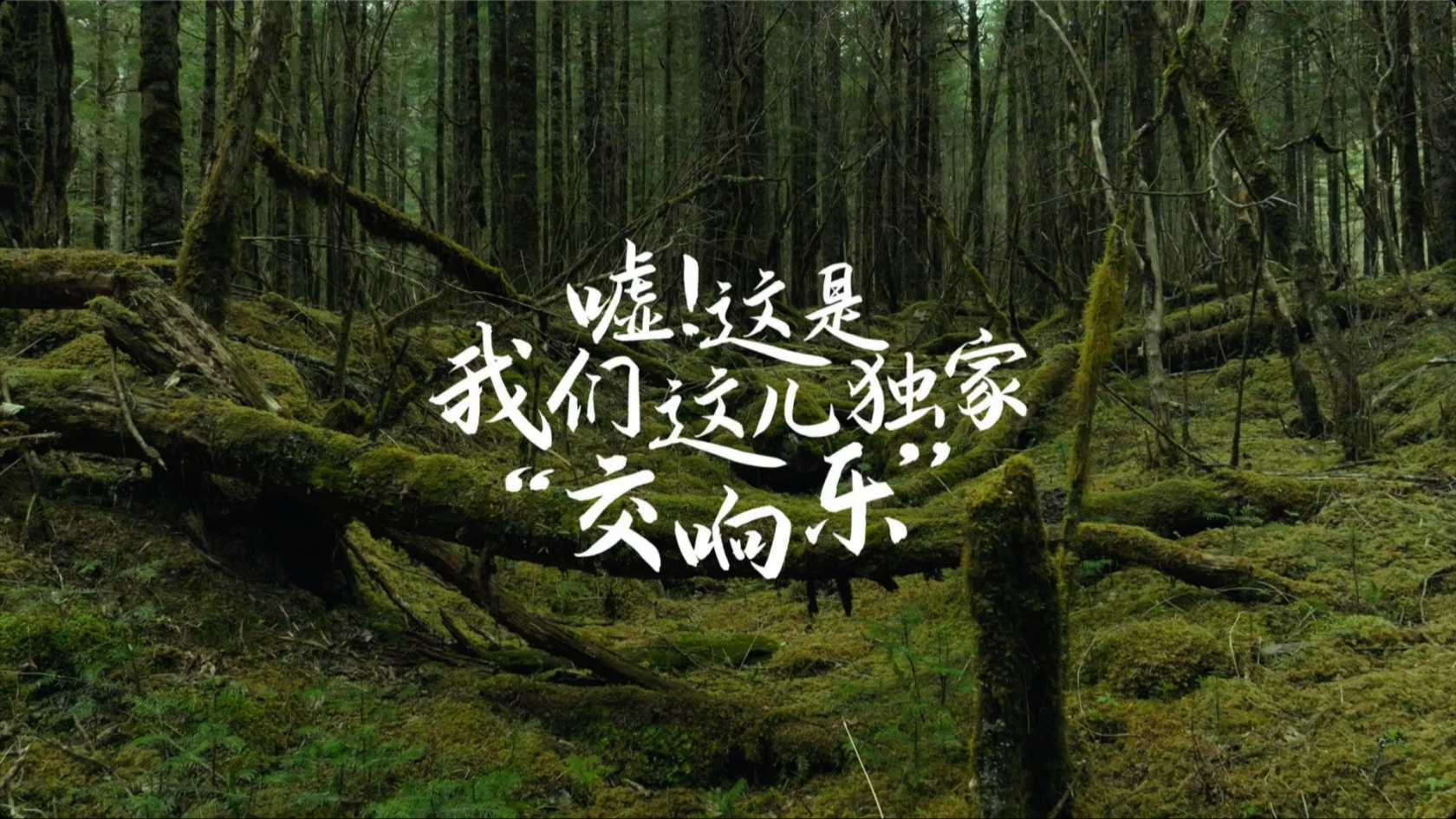 梅赛德斯-奔驰 可持续纪录片-来自大熊猫国家公园王朗片区的独家“交响乐”