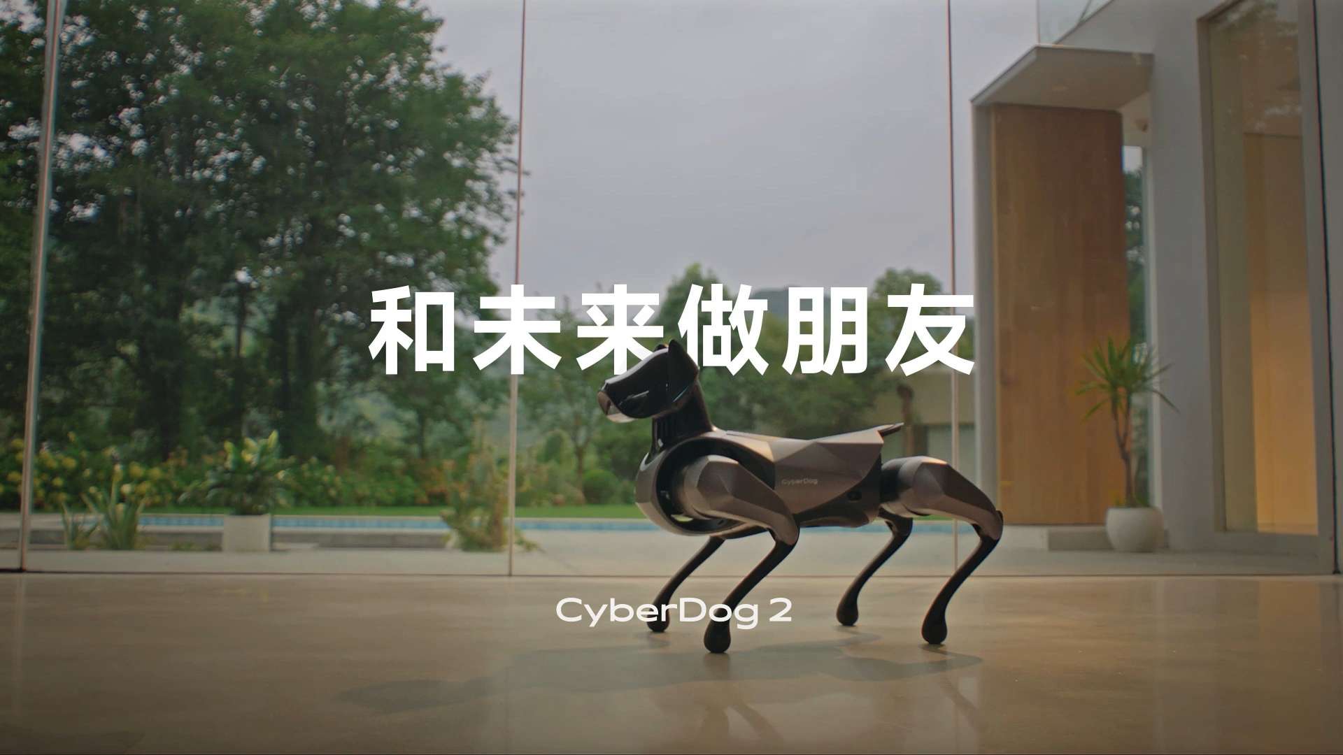 Xiaomi CyberDog2  和未来做朋友