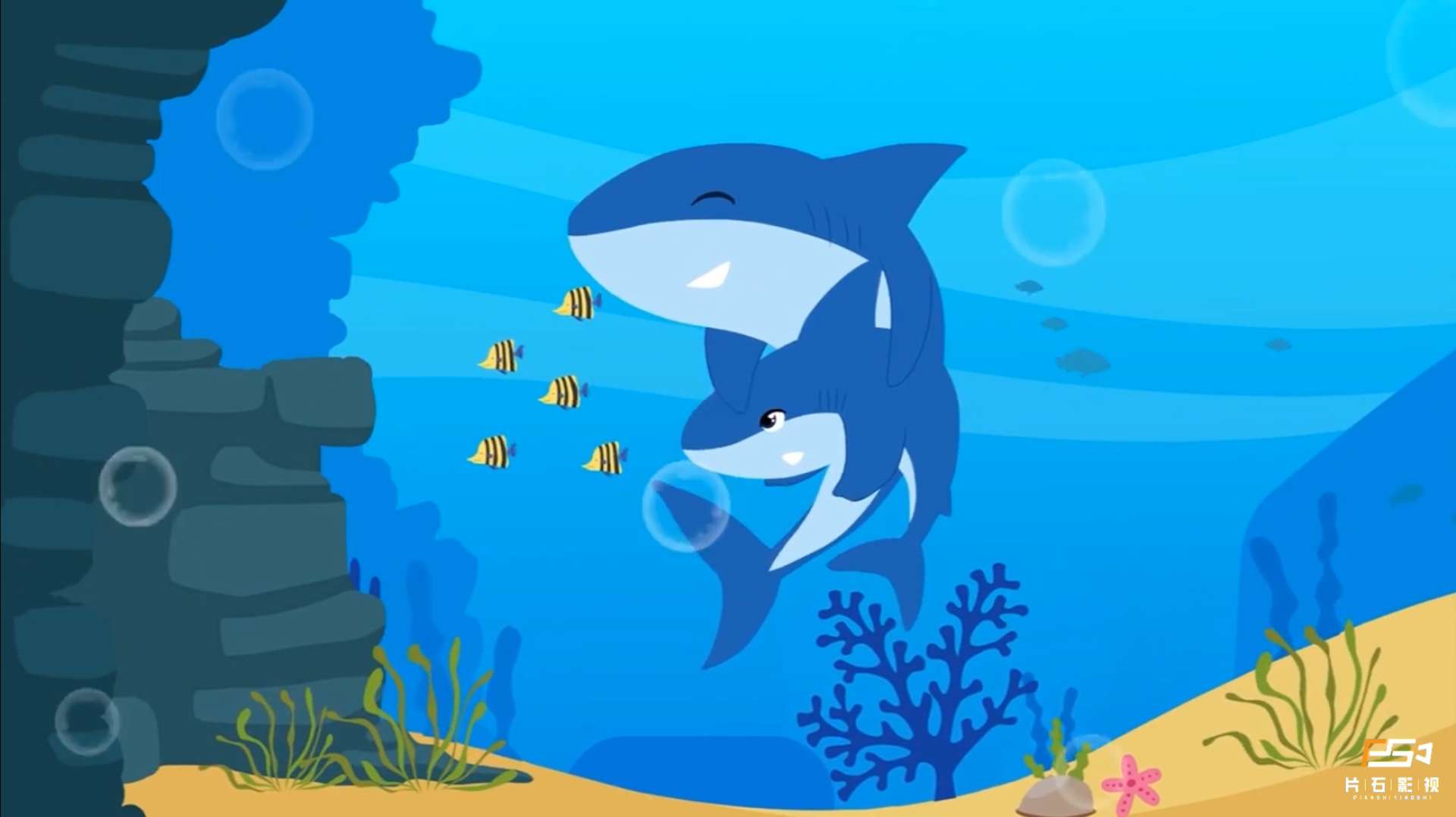 保护海洋动物公益宣传动画