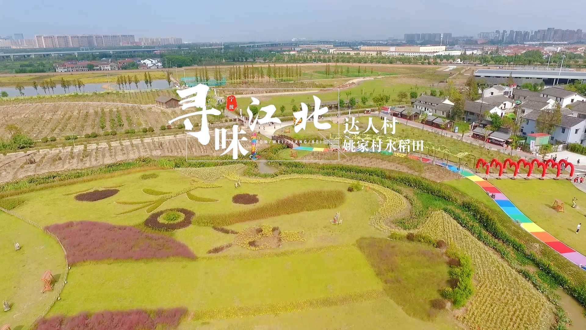 宁波江北达人村短视频