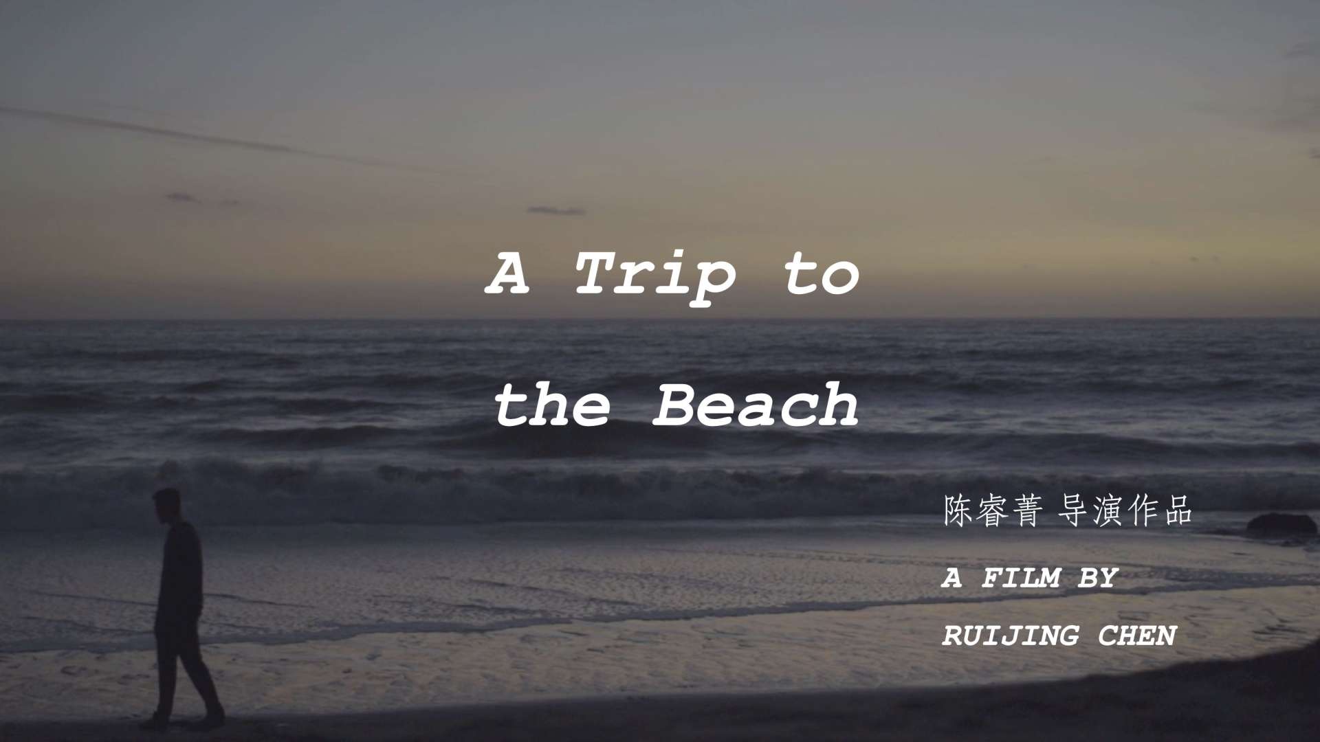 一镜到底实验短片《旅程尽头的海》（ATriptotheBeach）陈睿菁导演作品