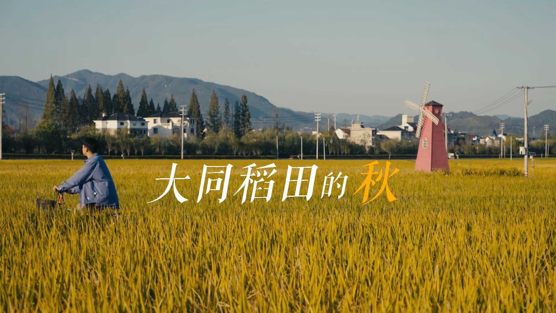 杭州建德文旅短片丨《大同稻田的秋》