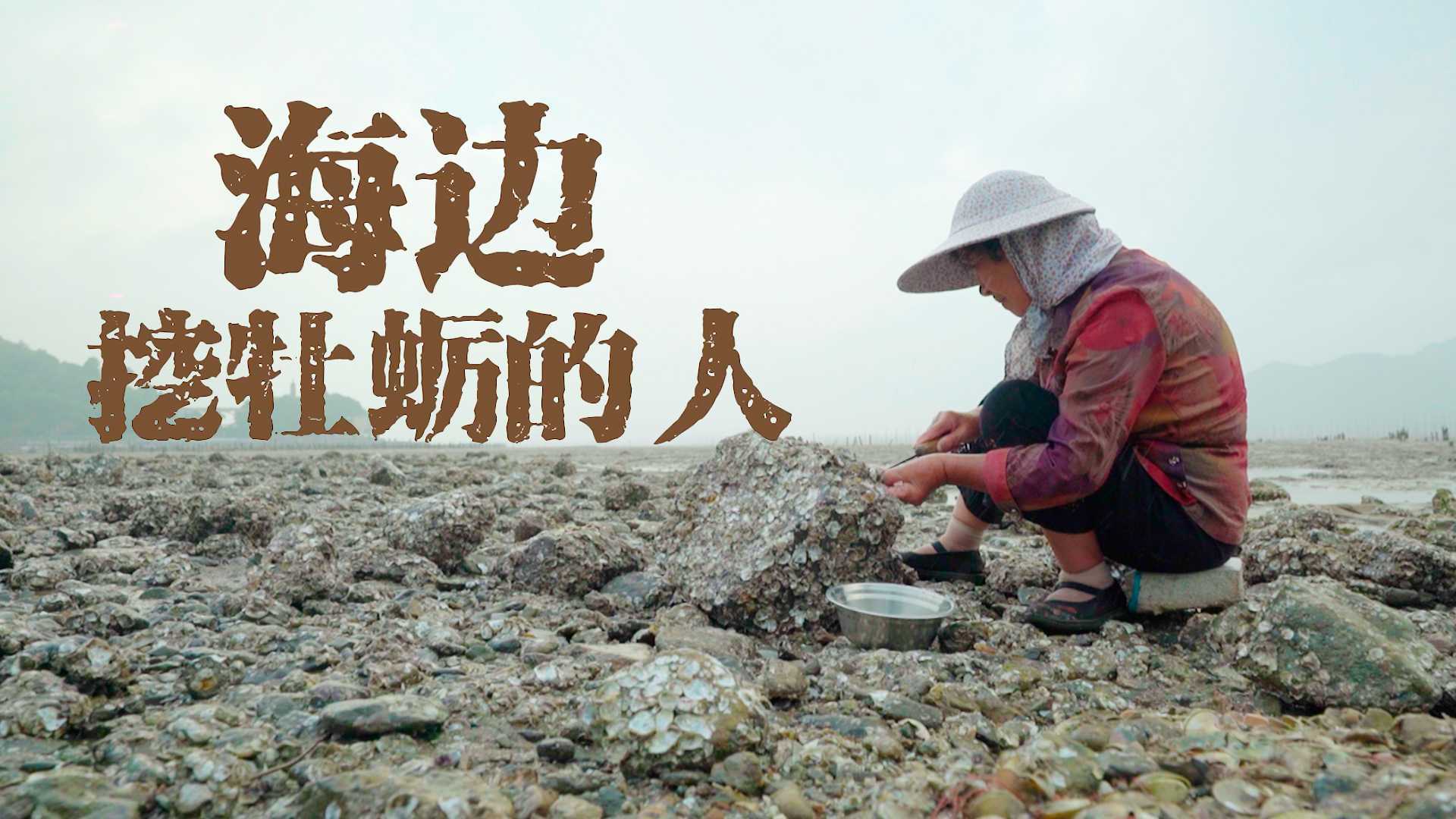 【闽南语纪录片】在海边的一个小渔村《挖牡蛎的奶奶》