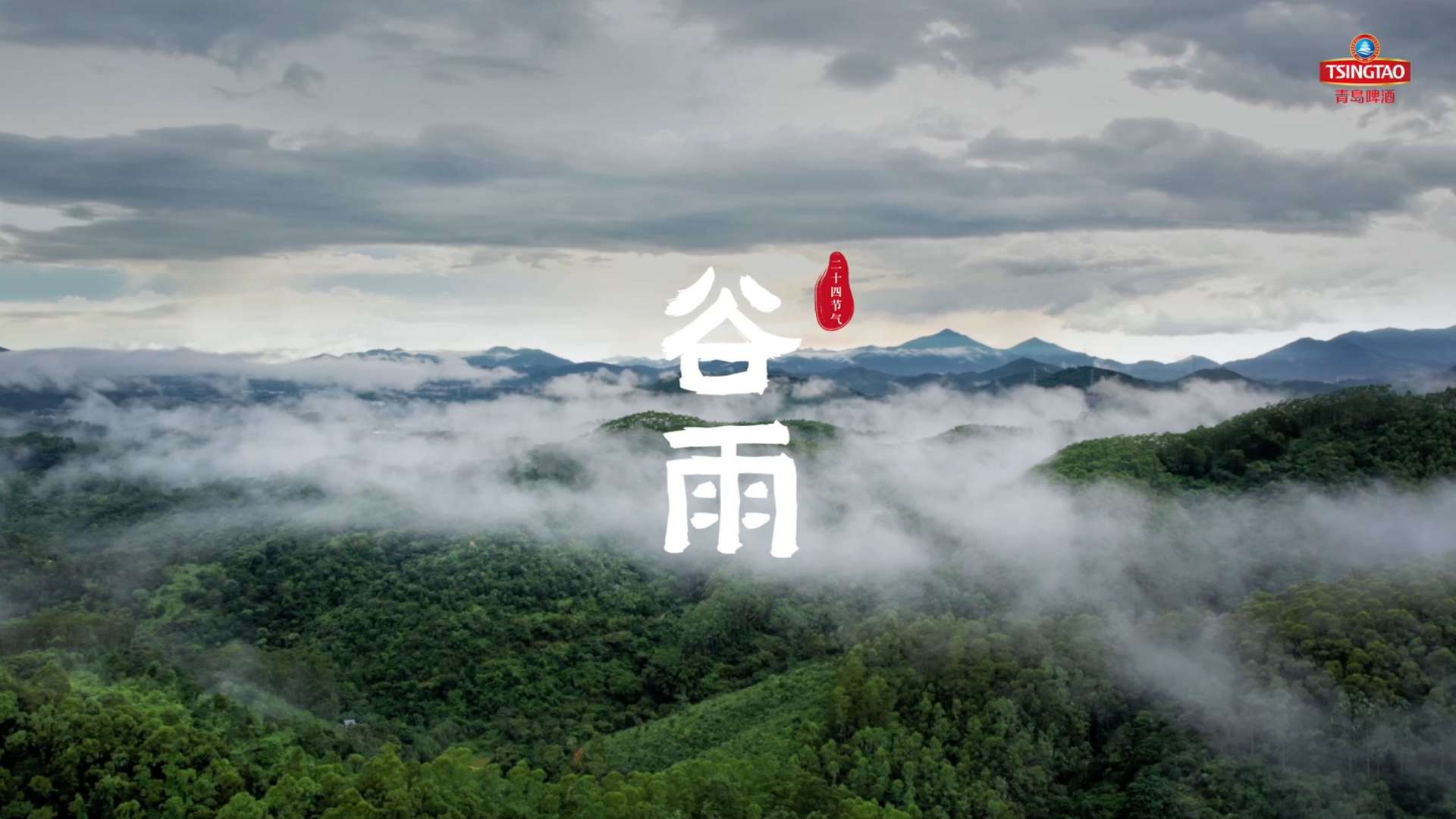 青岛原浆节气视频-谷雨