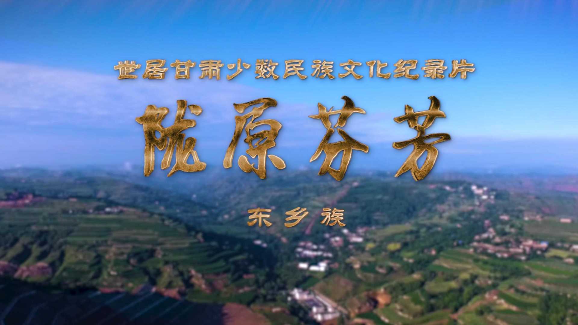 甘肃少数民族文化纪录片《陇原芬芳》-东乡族